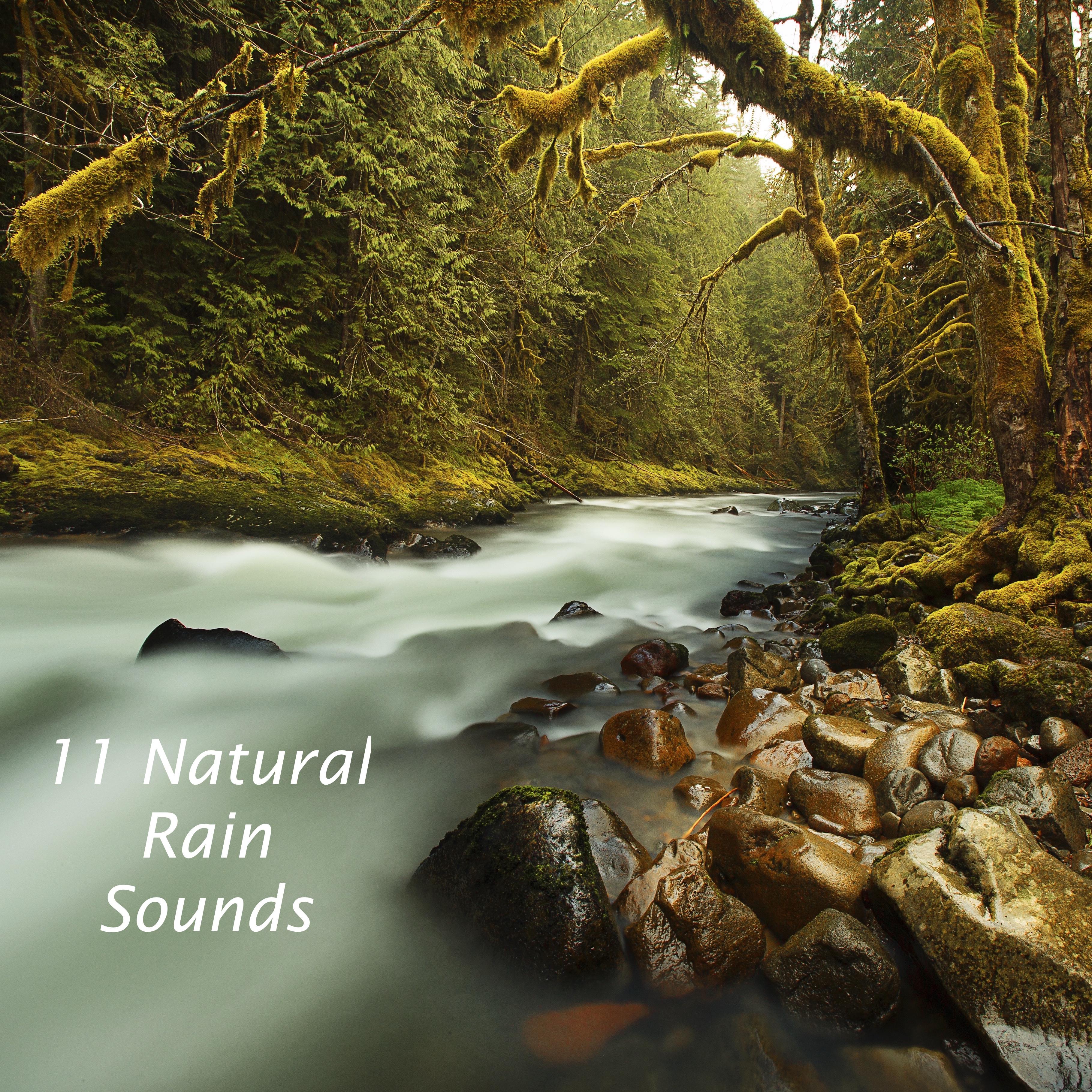 11 Natural Rain Sounds Designed for Deep Sleep and Wellbeing