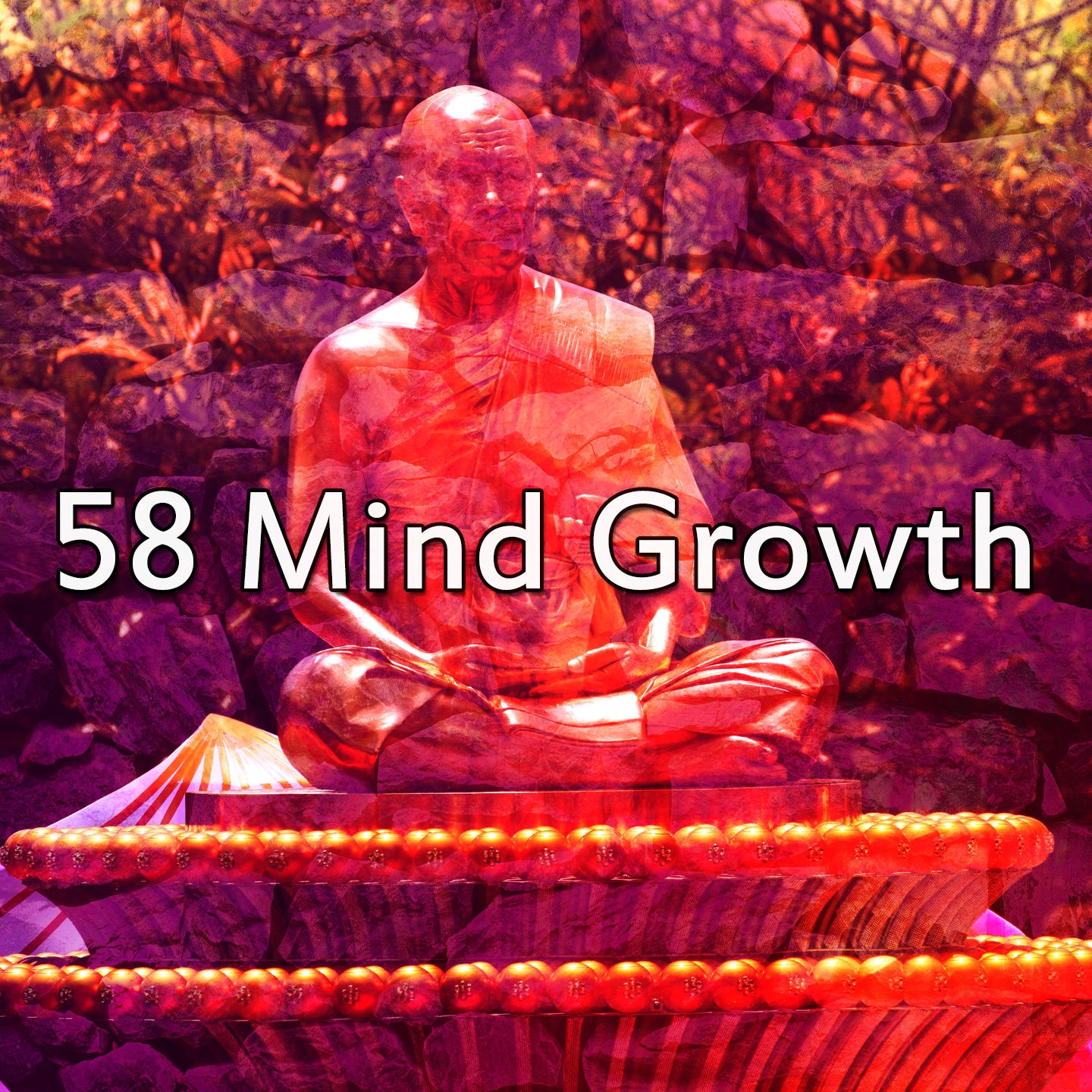 58 Mind Growth