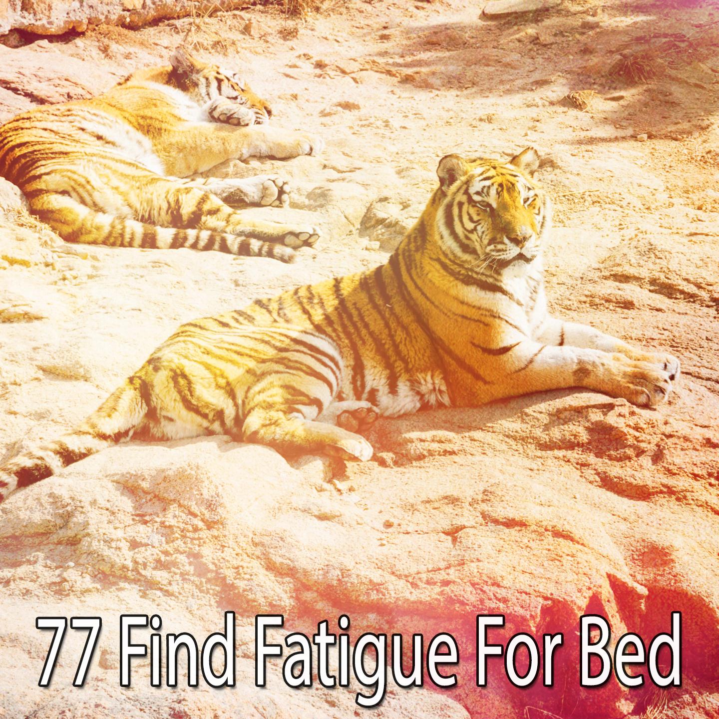77 Find Fatigue For Bed