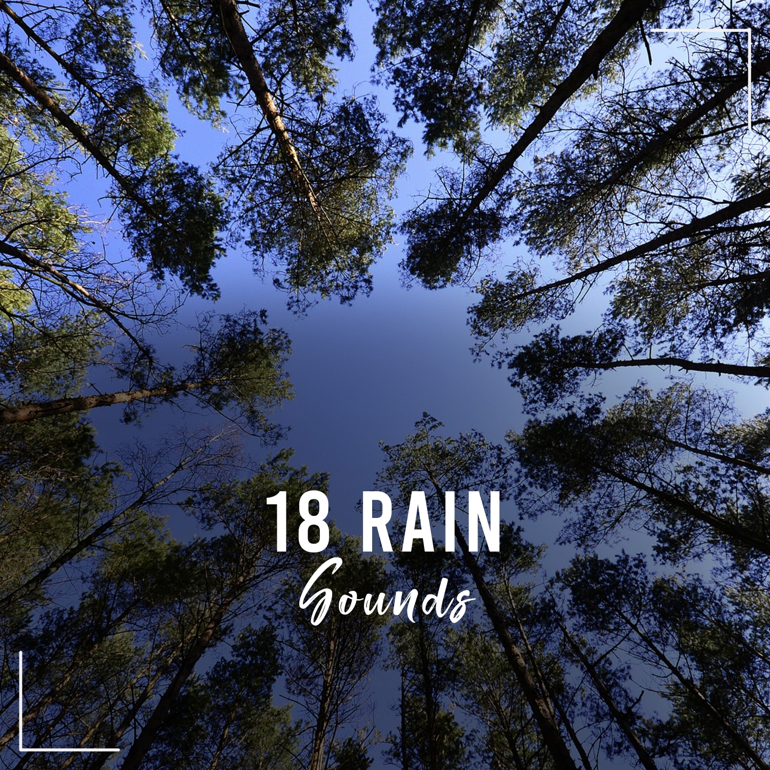 18 Rain Sounds: Meditate, Sleep, Study, Relax, Chillout, Focus, Spa & Zen