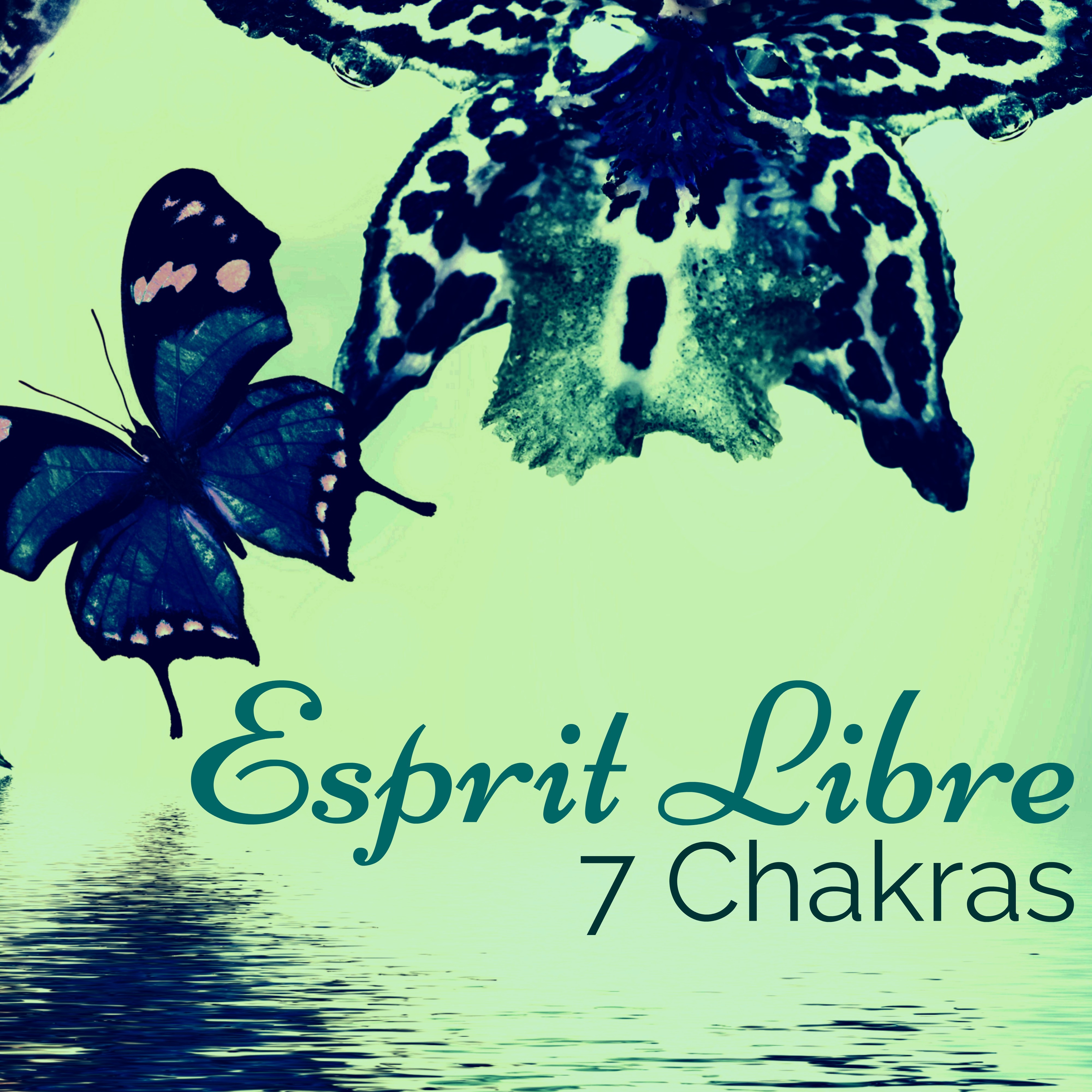 Esprit Libre  7 Chakras Me ditation: Musique Zen pour Relaxation, Spa Massage, De tente et Bien tre