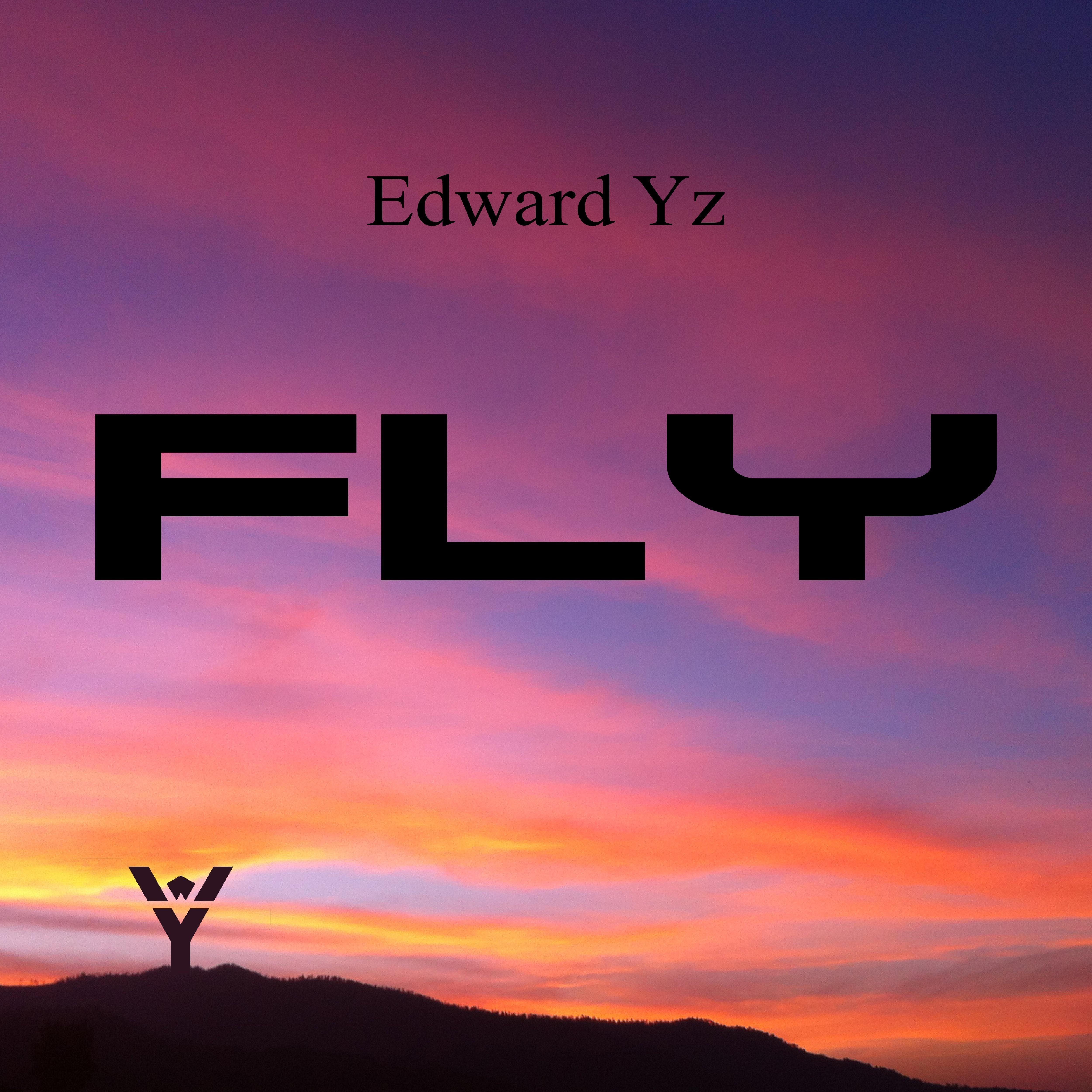 Fly