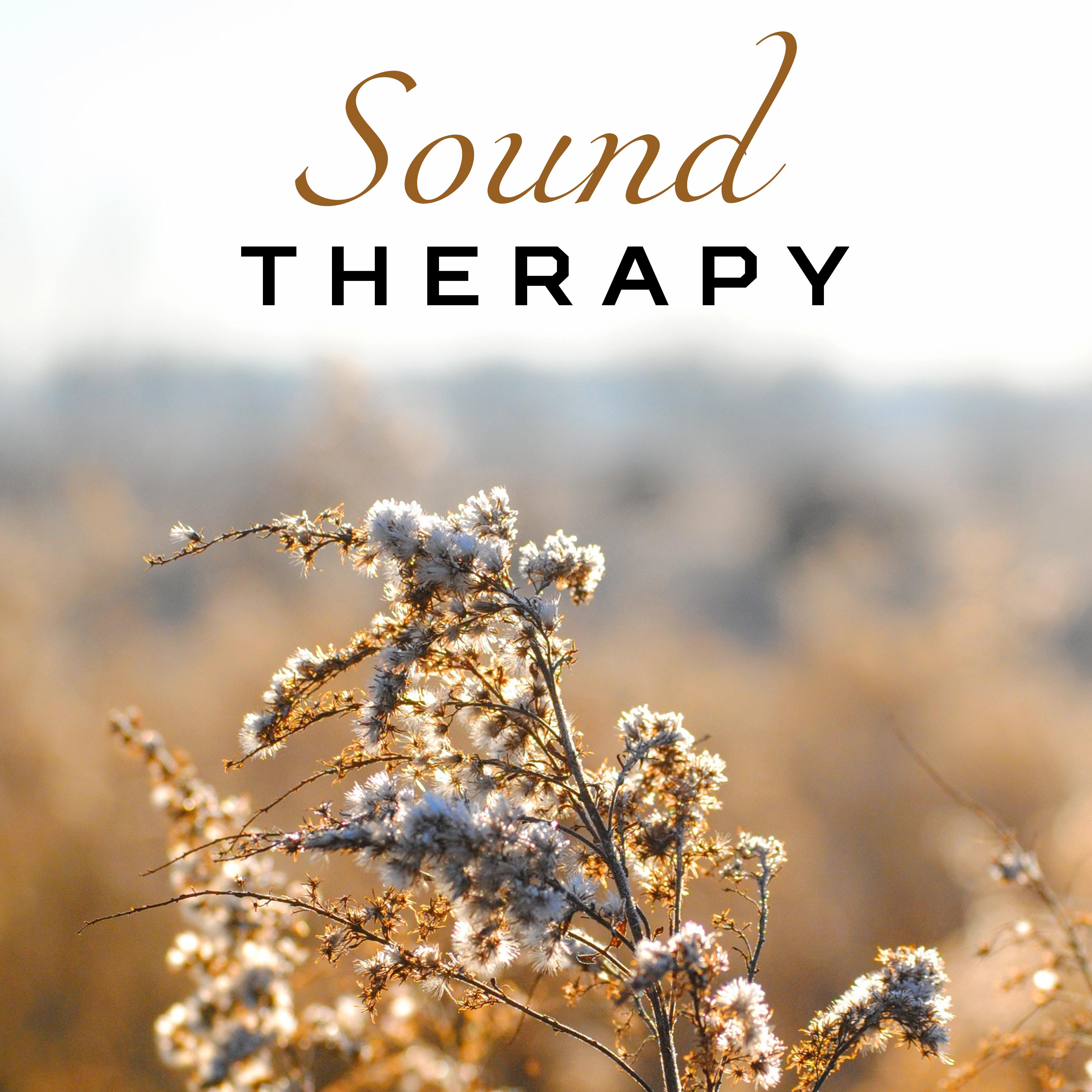 Sound Therapy  Soothing Music, Water Reduces Stress, Peaceful Mind, Meditate, Nature Sounds