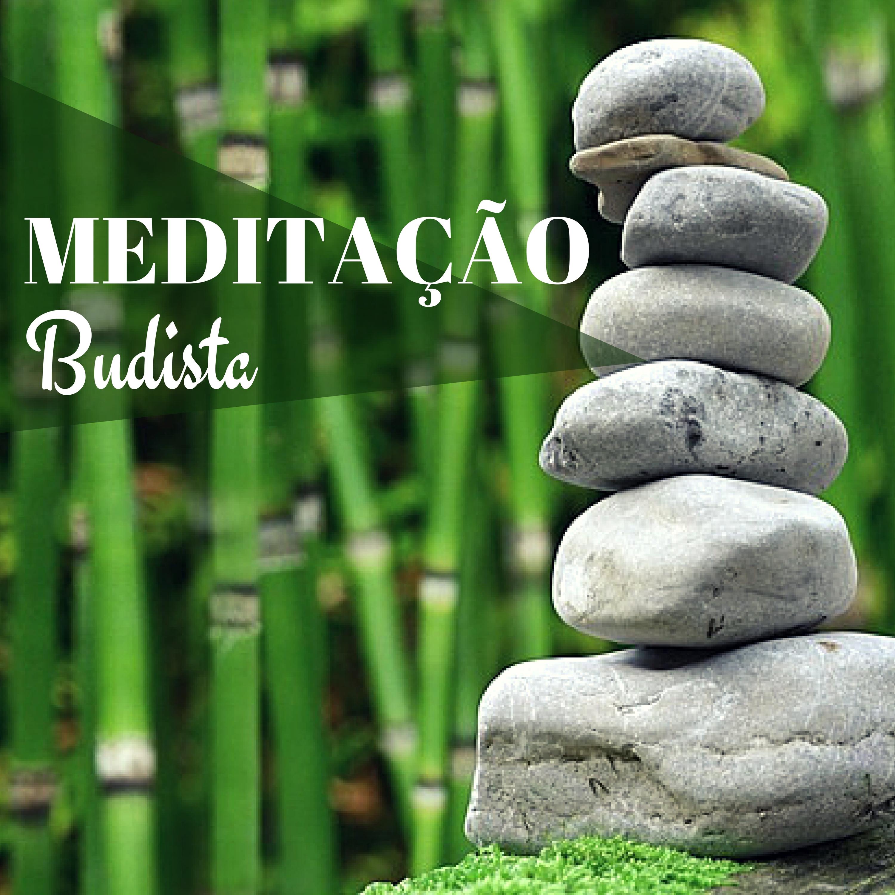 Medita o Budista
