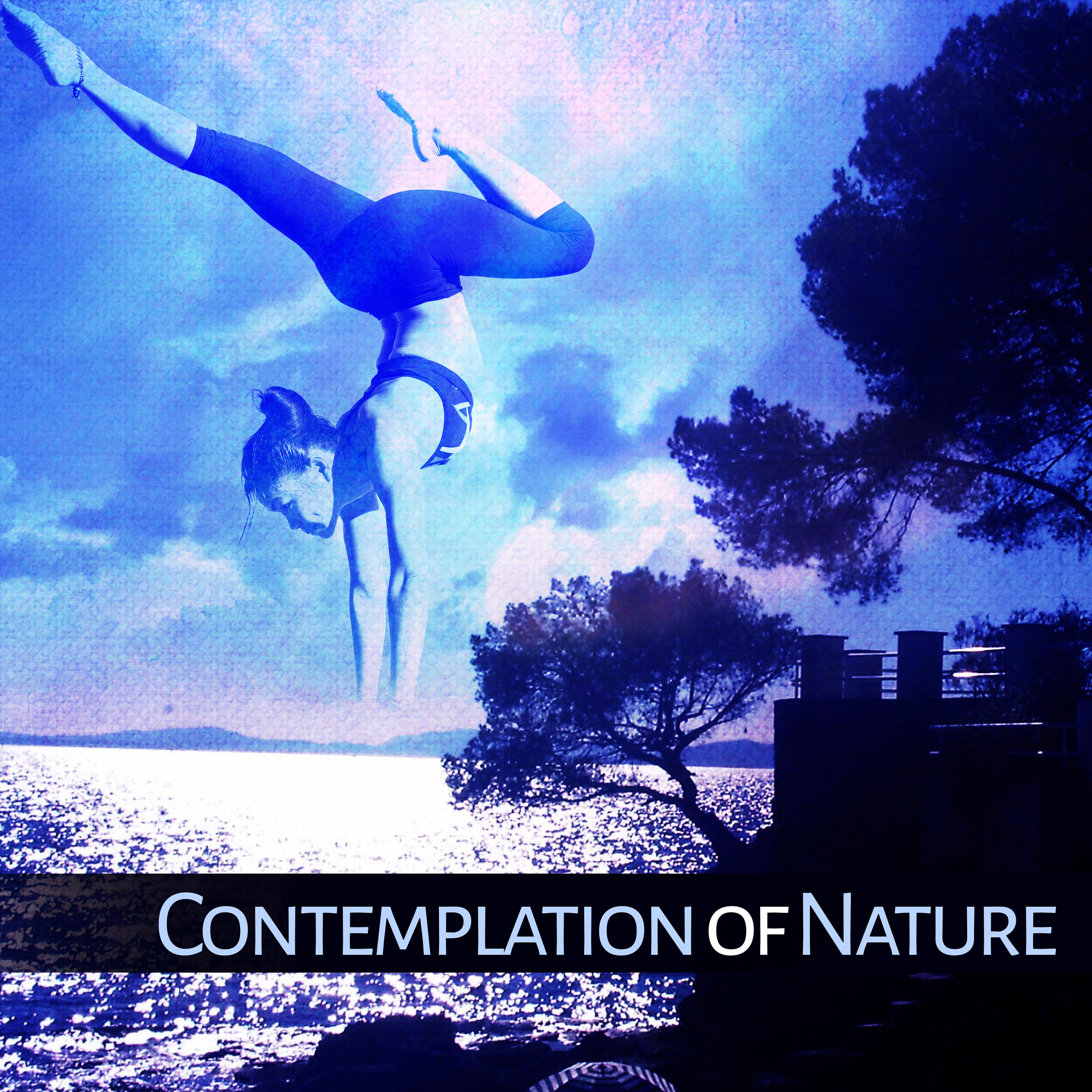 Contemplation of Nature  Peaceful Music for Meditation, Yoga, Nature Sounds, Relaxation, Harmony  Calmness, Pure Mind