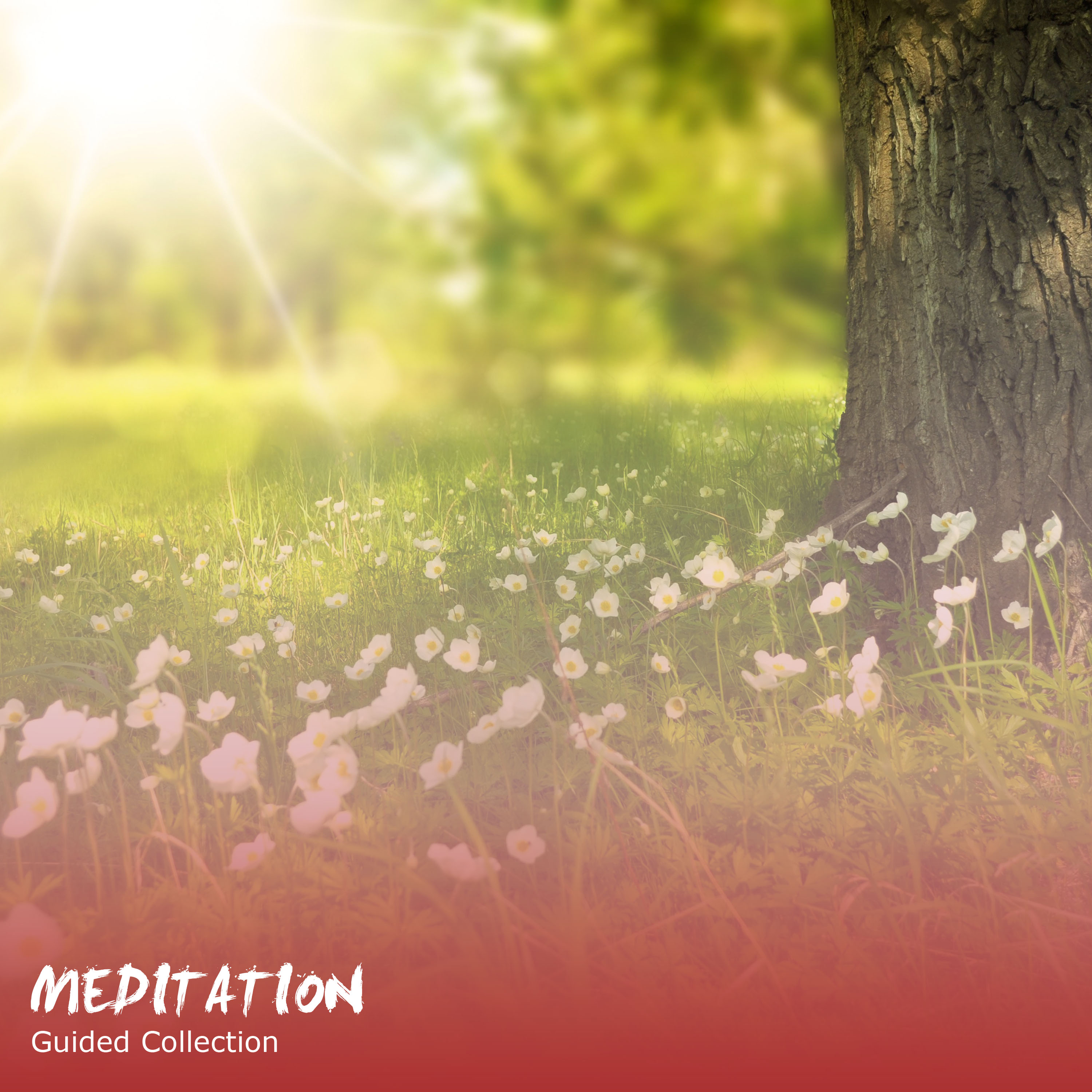 14 Meditation Tracks - Guided Collection