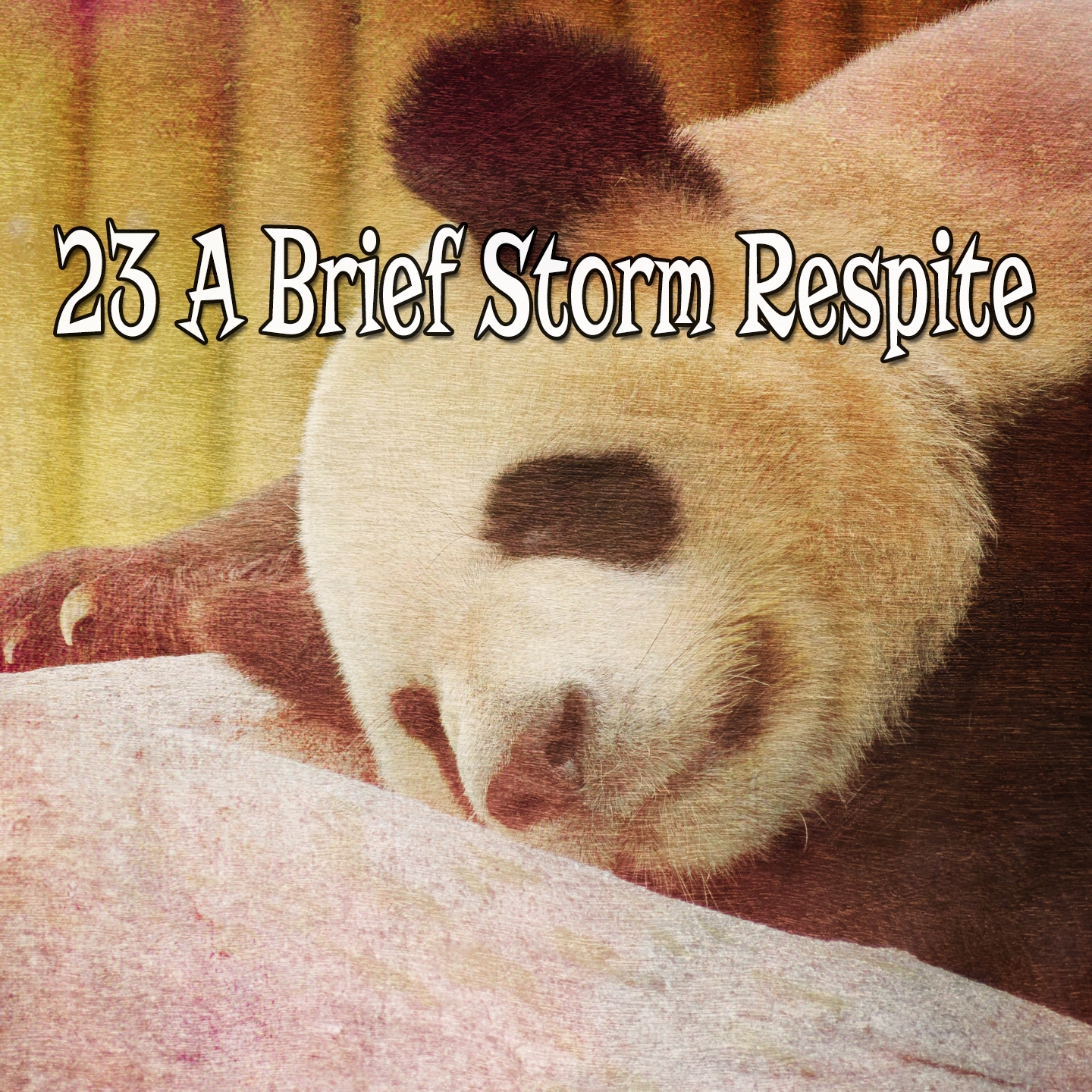 23 A Brief Storm Respite