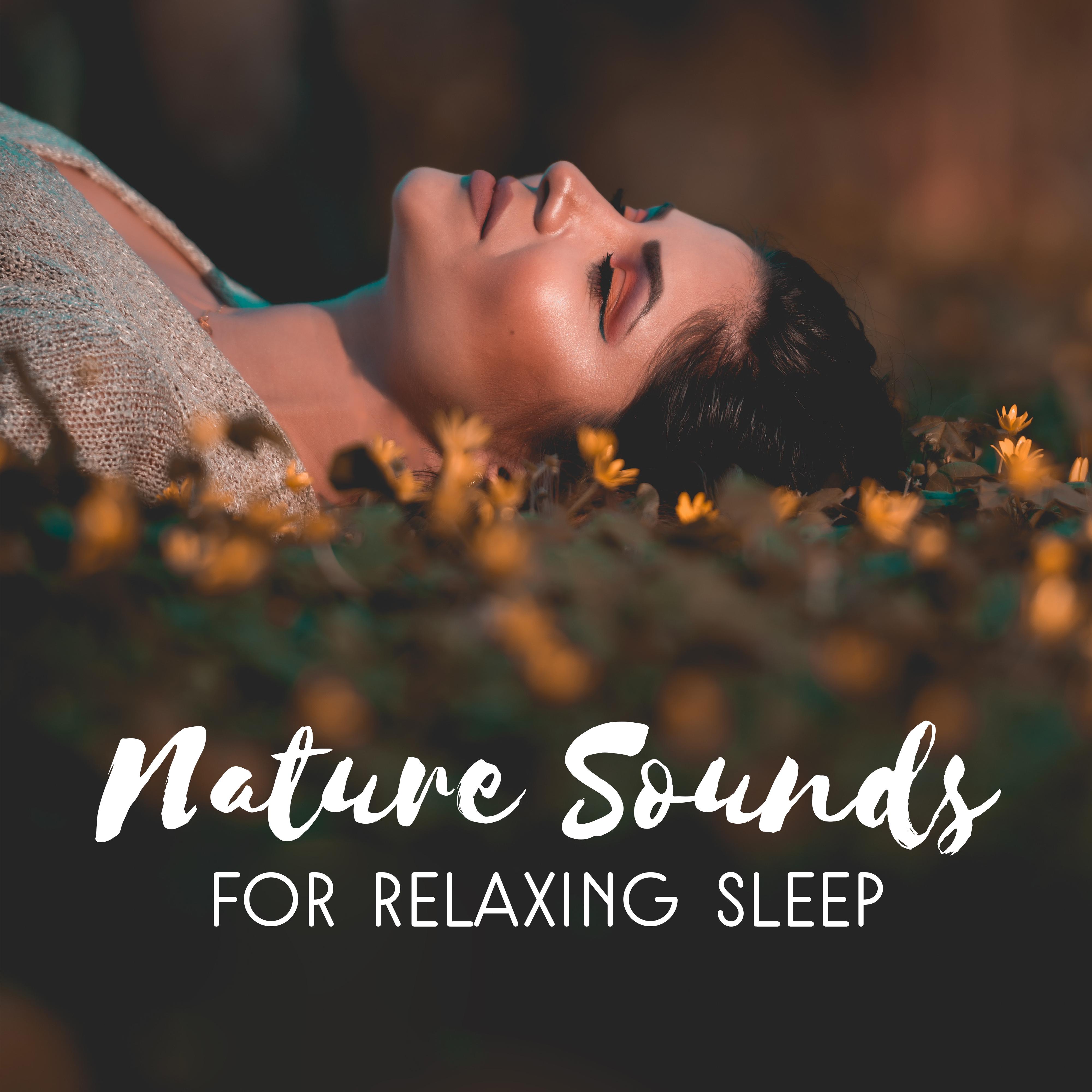 Nature Sounds for Relaxing Sleep
