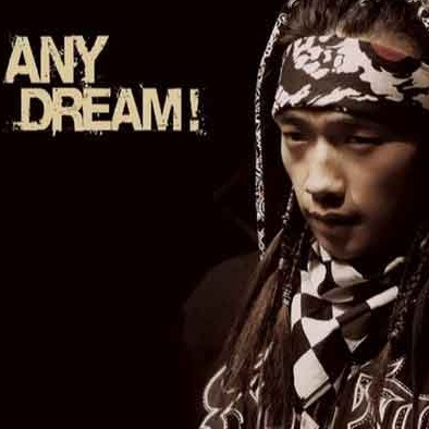 Anydream