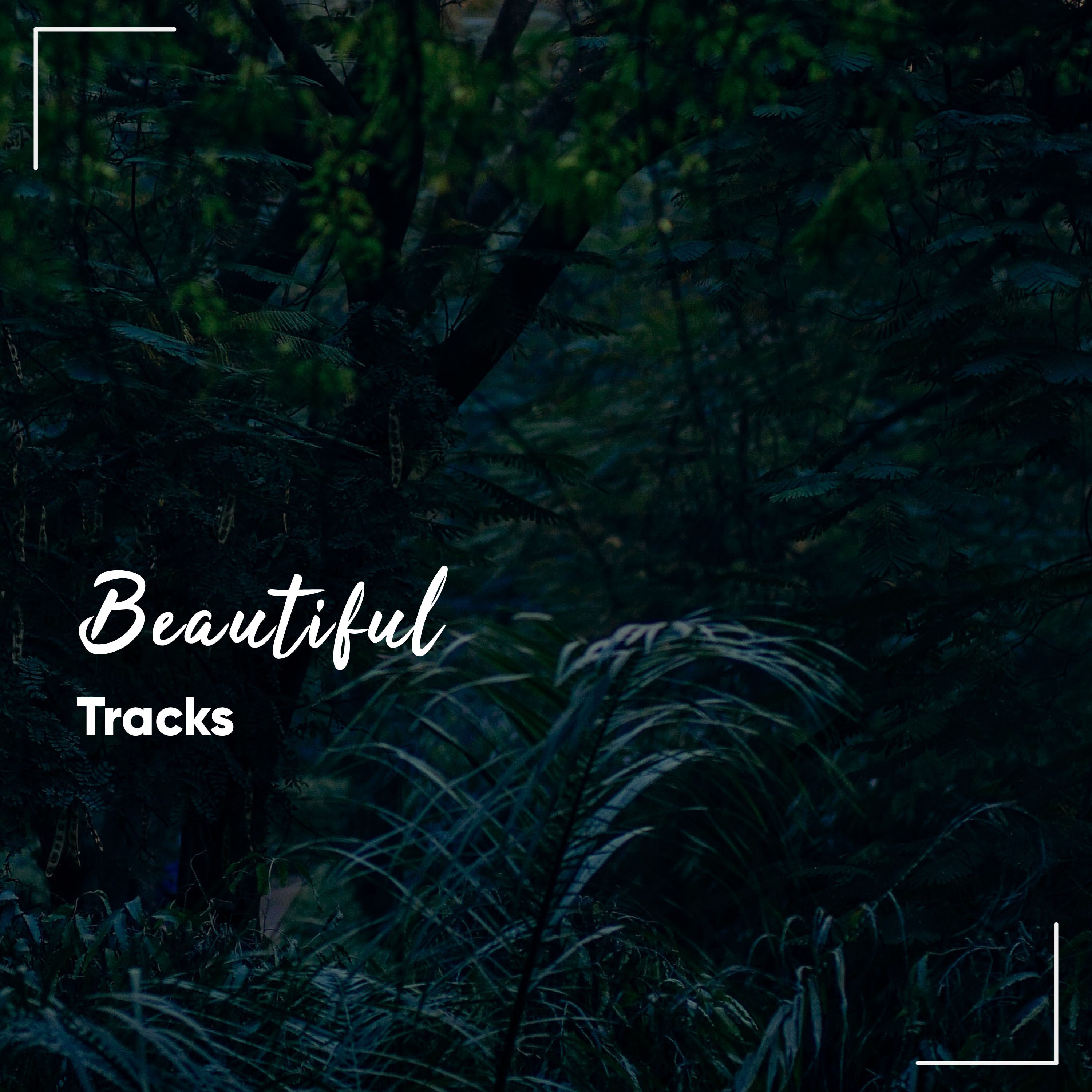 #1 Hour of Beautiful Tracks for Sleep and Relaxation