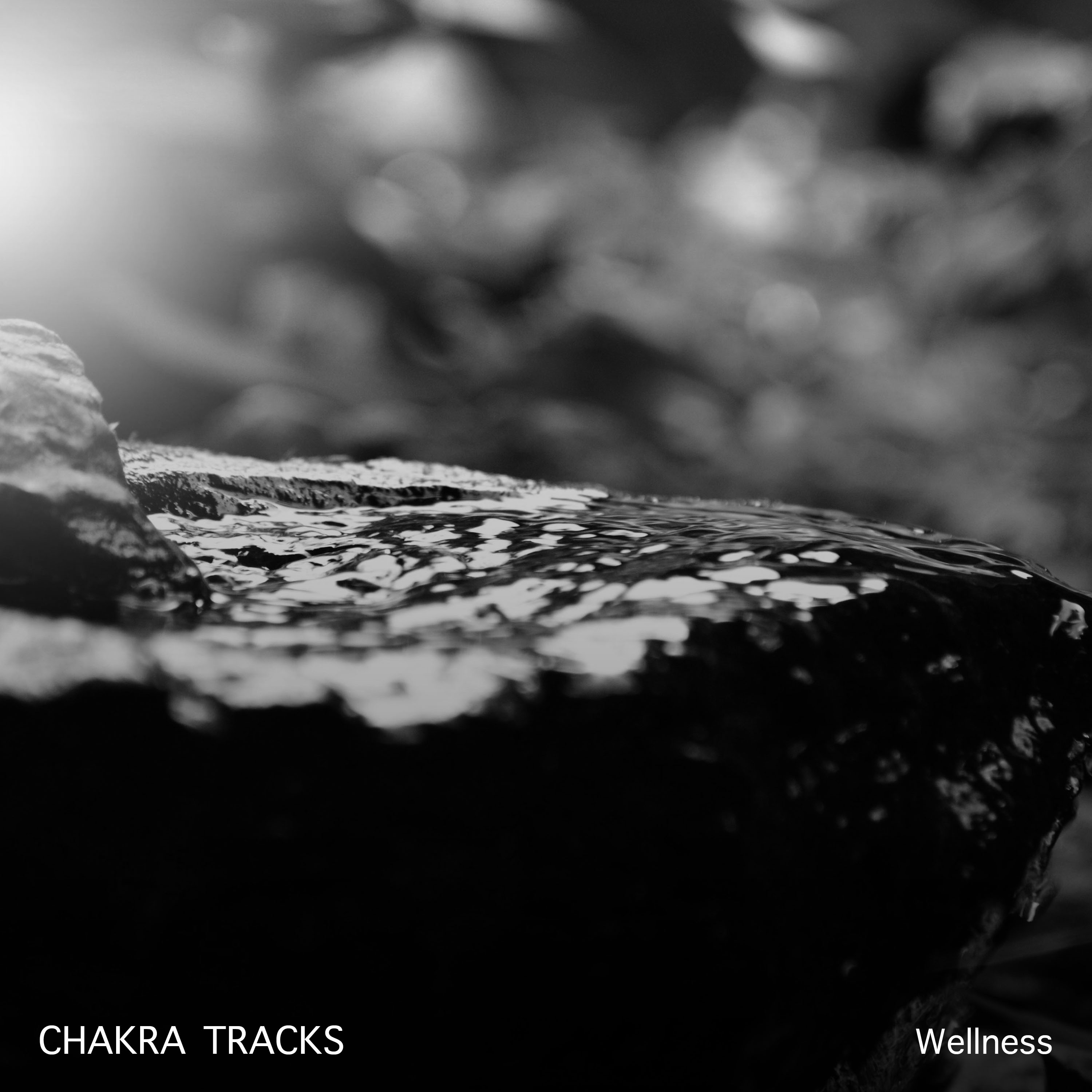 17 Wellness and Chakra Tracks