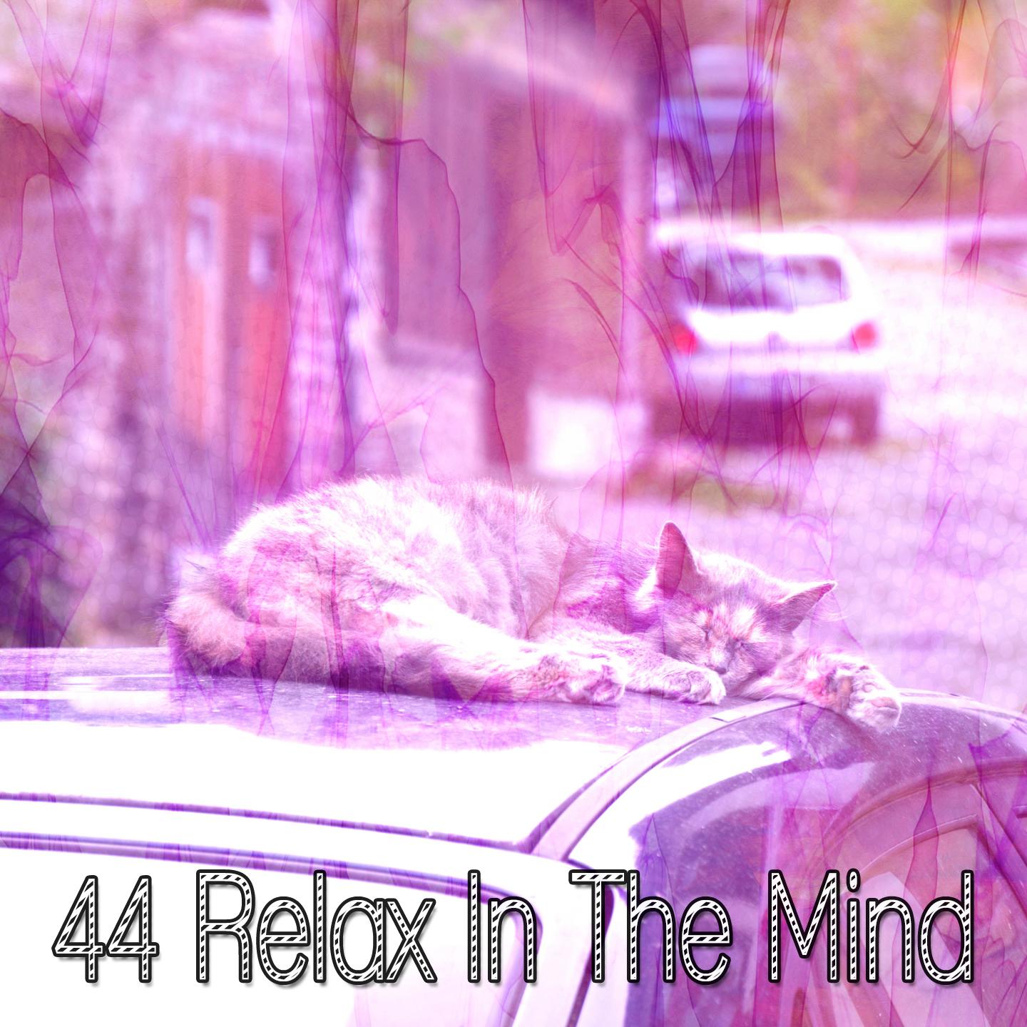 44 Relax In The Mind