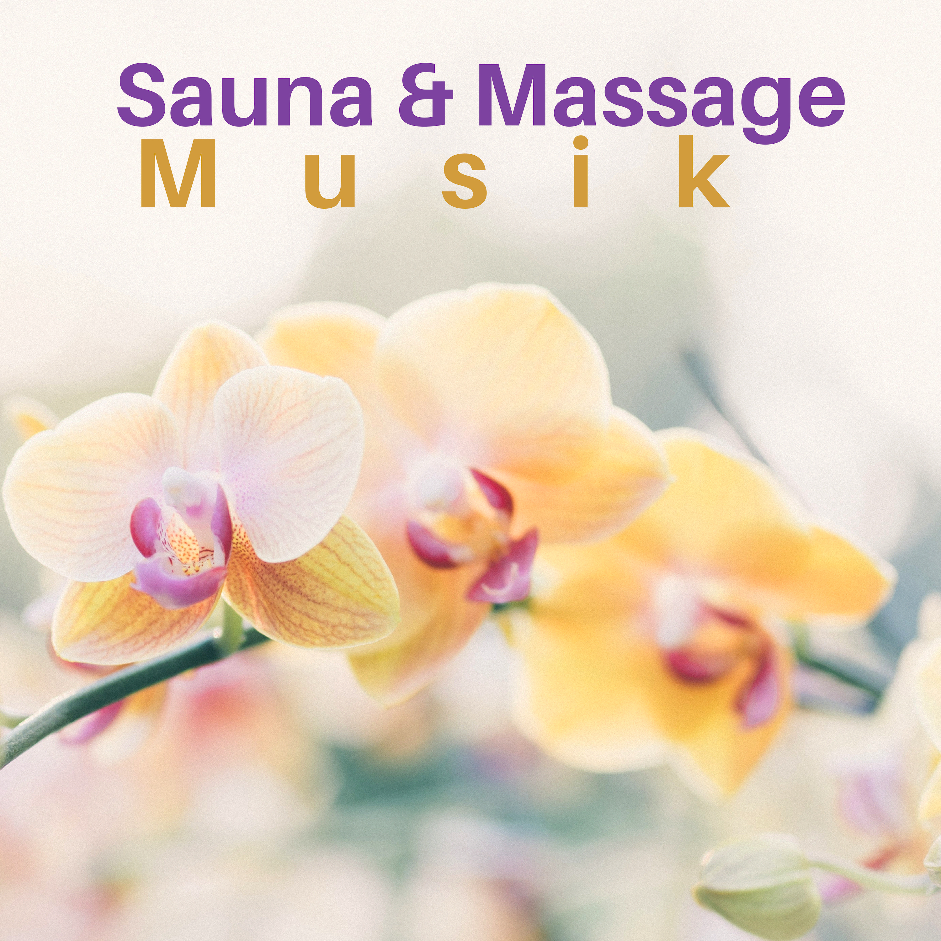Sauna  Massage Musik  New Age Instrumentalmusik fü r WellnessZentren