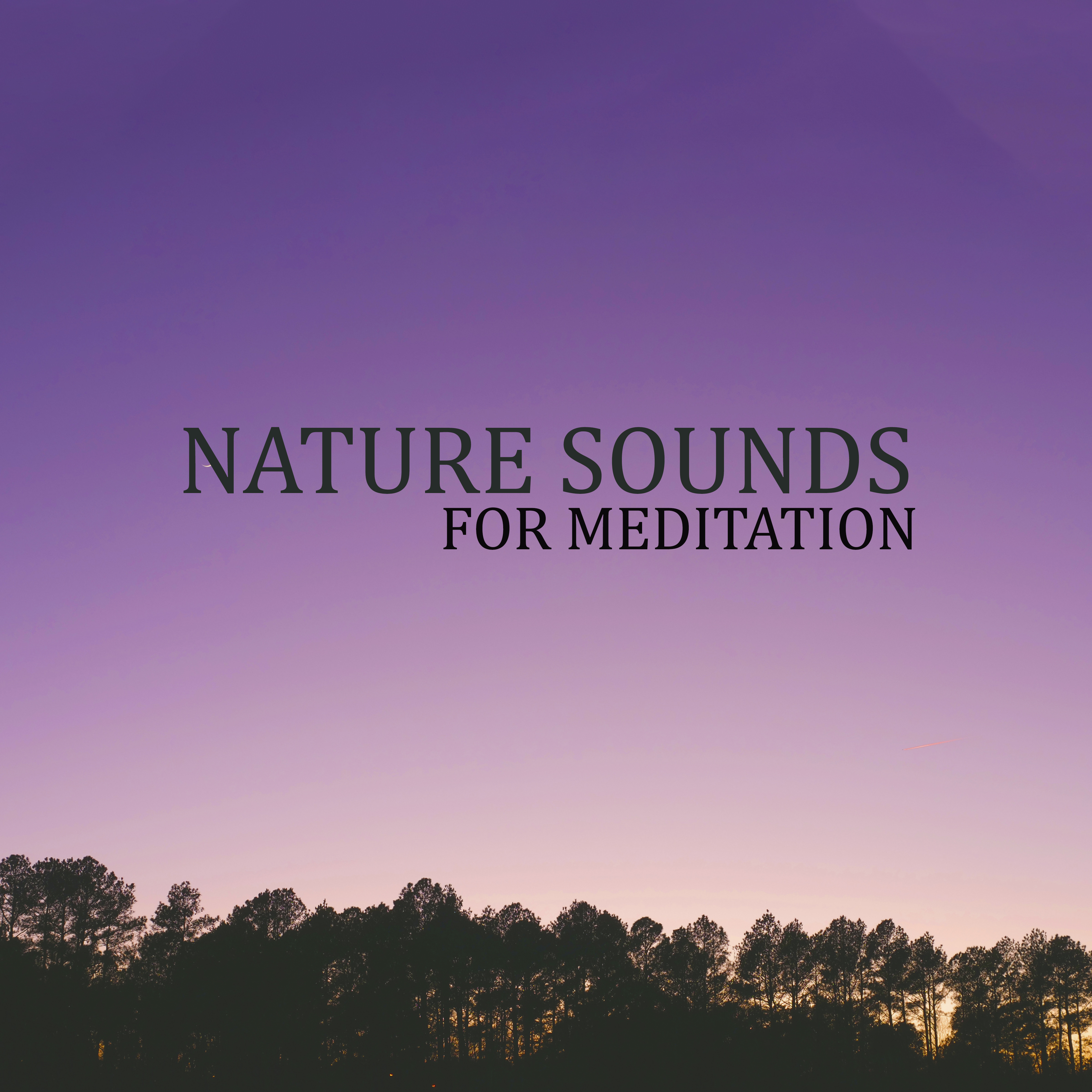 Nature Sounds for Meditation