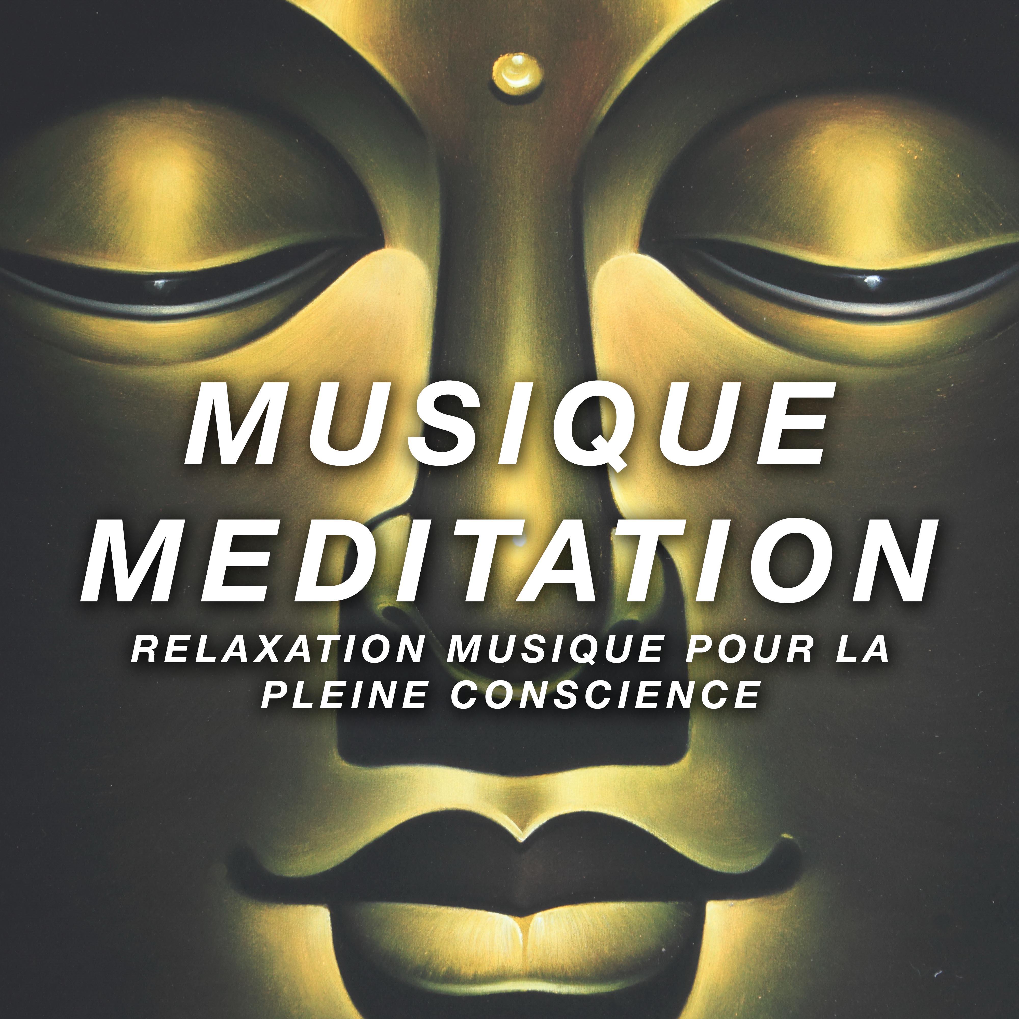Musique Meditation: Relaxation Musique pour la Pleine Conscience