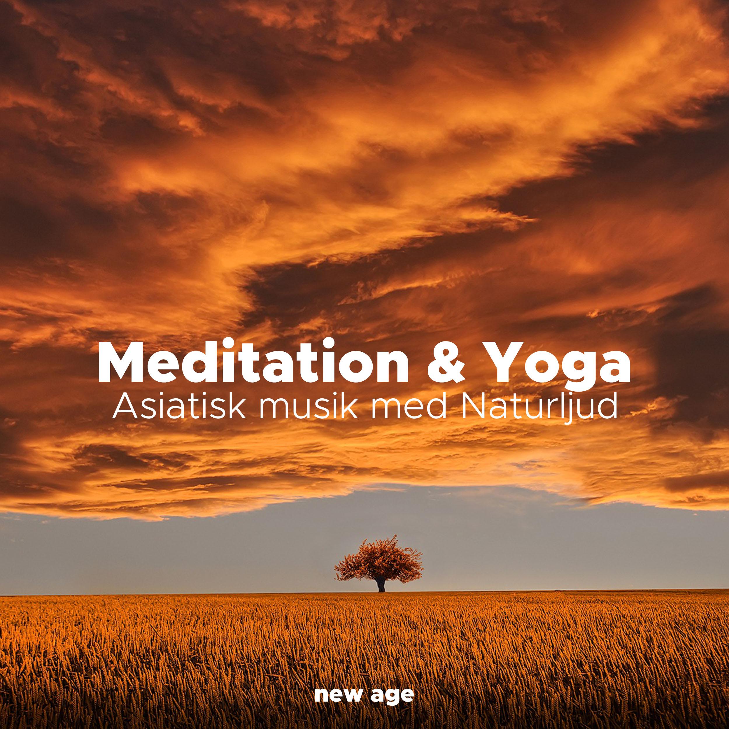 Meditation & Yoga - Asiatisk musik med Naturljud