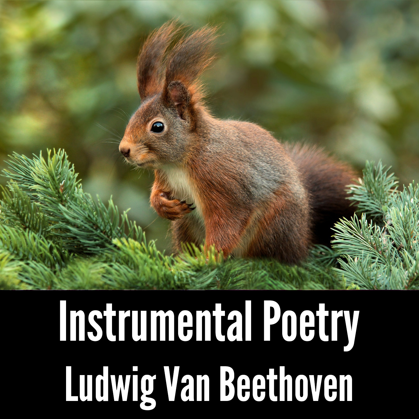 Instrumental Poetry: Ludwig Van Beethoven