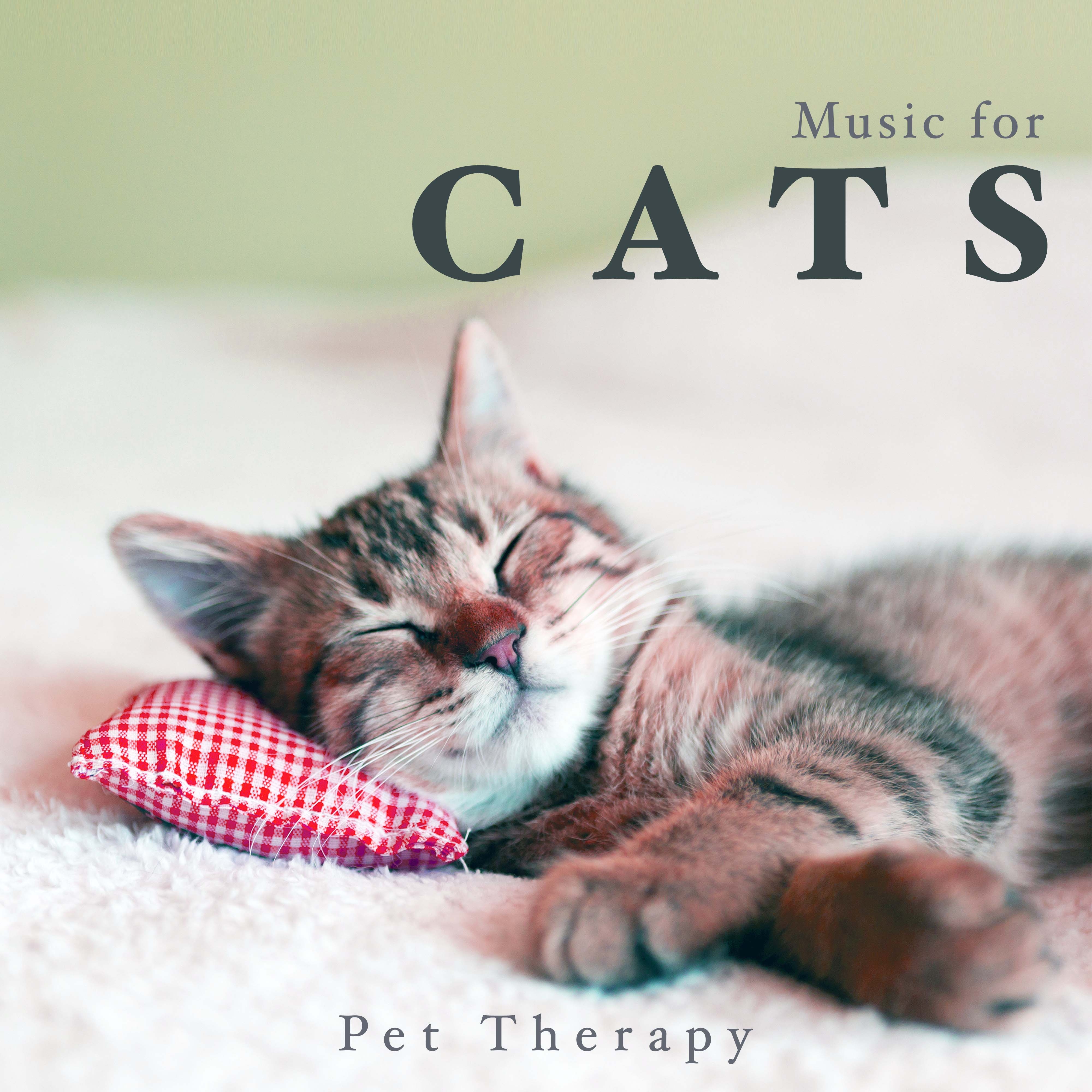 Music for Cats - Pet Therapy Relaxing Music