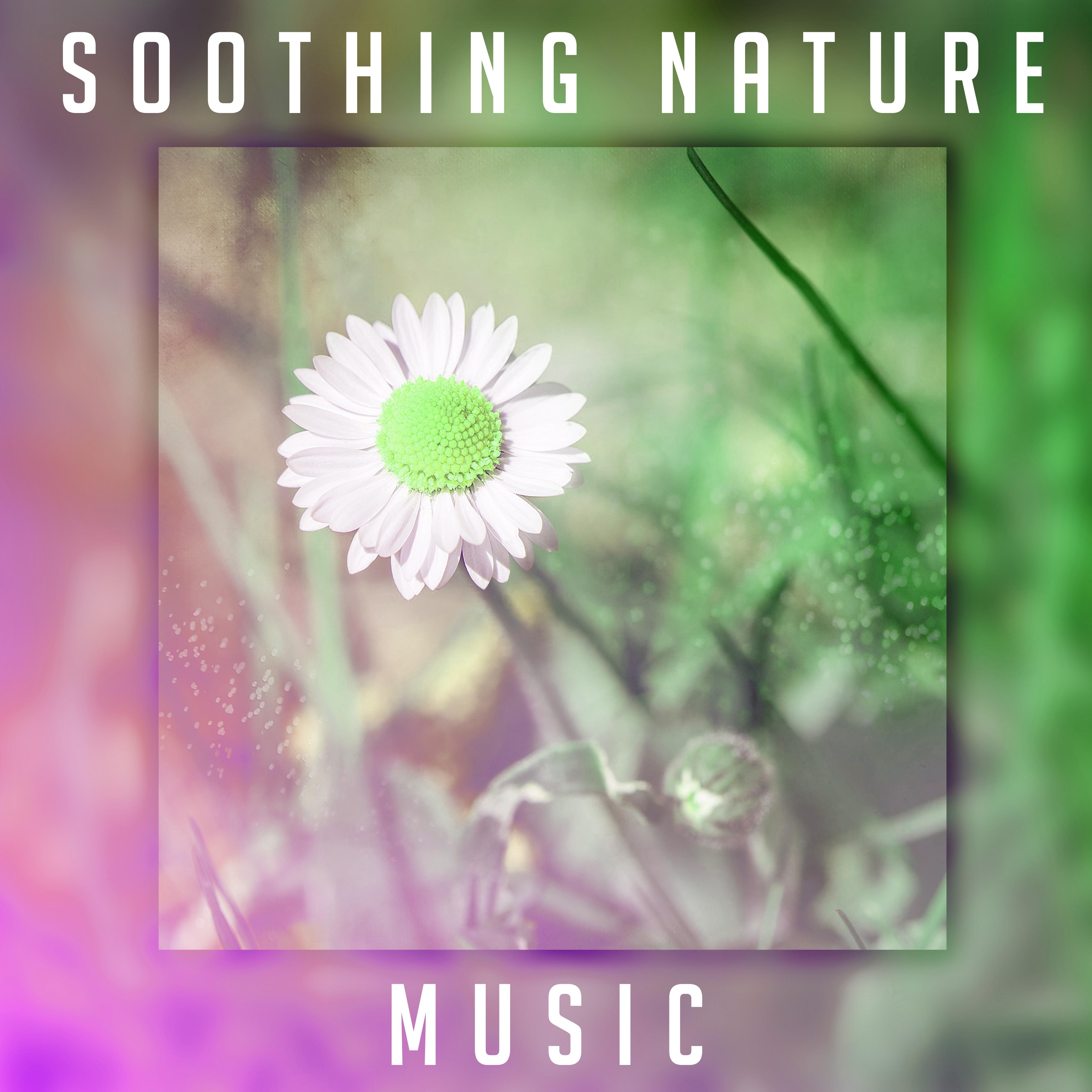 Soothing Nature Music  Calm Down  Relax, Rest with New Age Sounds, Nature Waves, Healing Therapy
