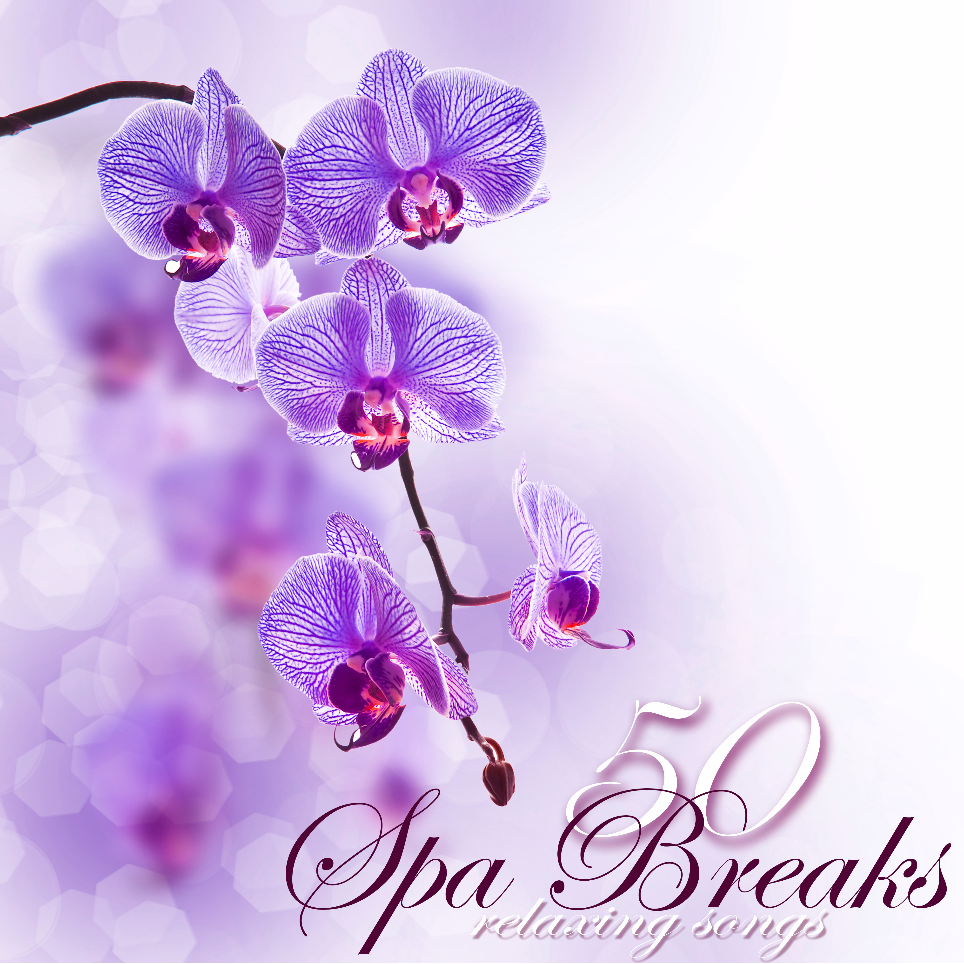 Spa Breaks 50 Relaxing Songs  Fifty Quiet Moments of Relaxation under Bamboo Shades in Your Zen Room, Emotional Peaceful Songs for Spa Day
