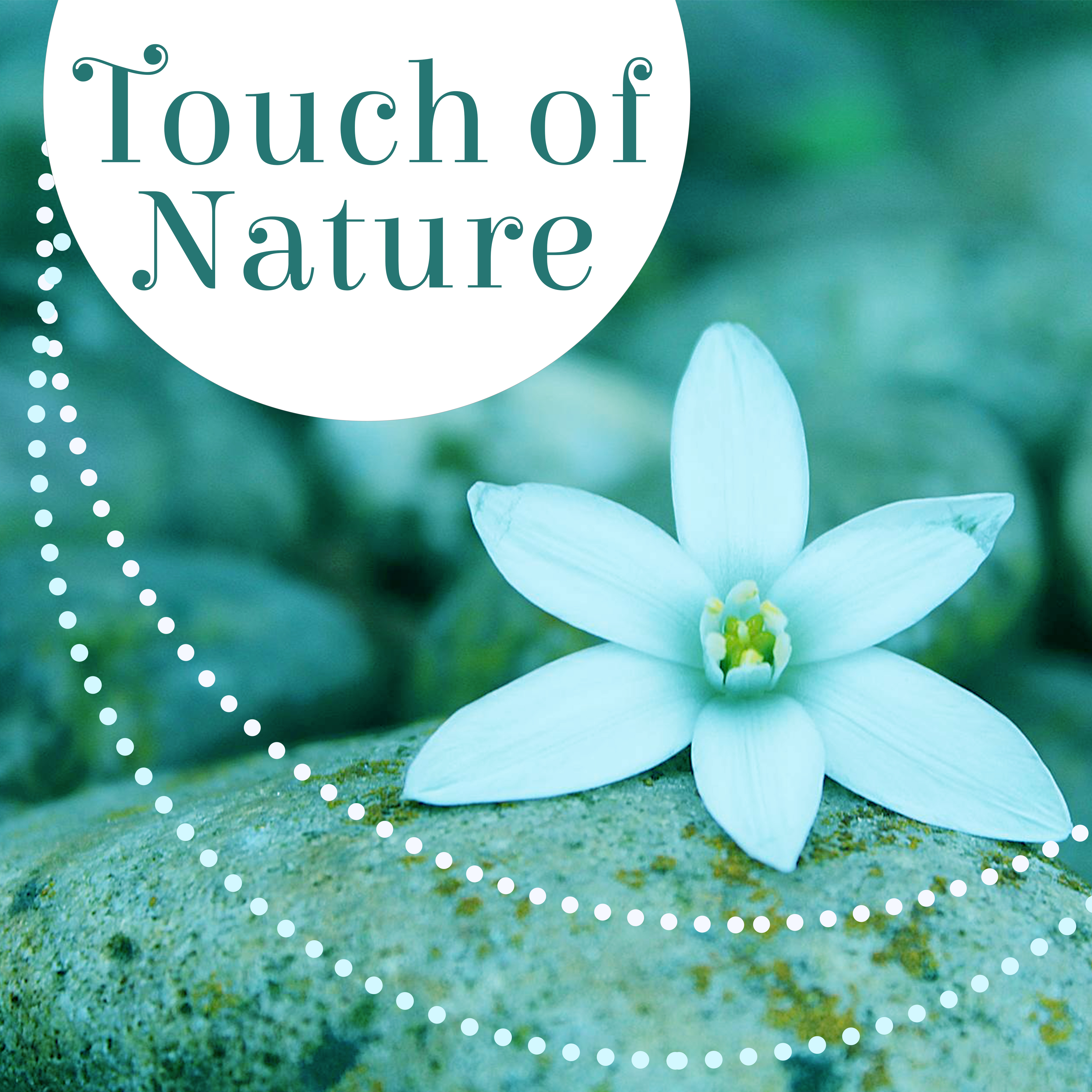 Touch of Nature  Spa Music, Peaceful Music, Nature Sounds for Relaxation, Ocean Waves, Singing Birds, Relax, Wellness, Pure Massage