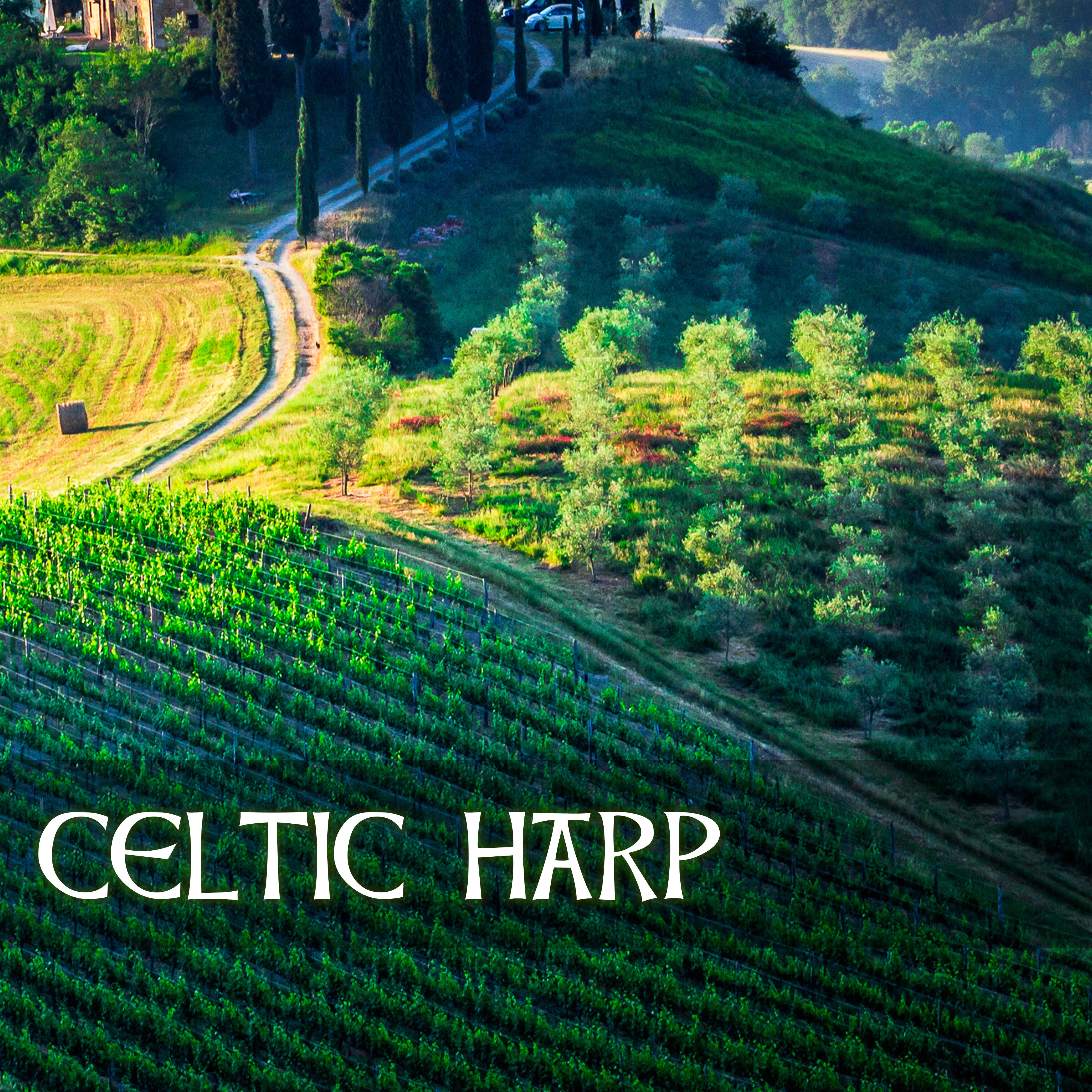 Celtic Harp Dinner Party Music - Irish Harp Folk Song