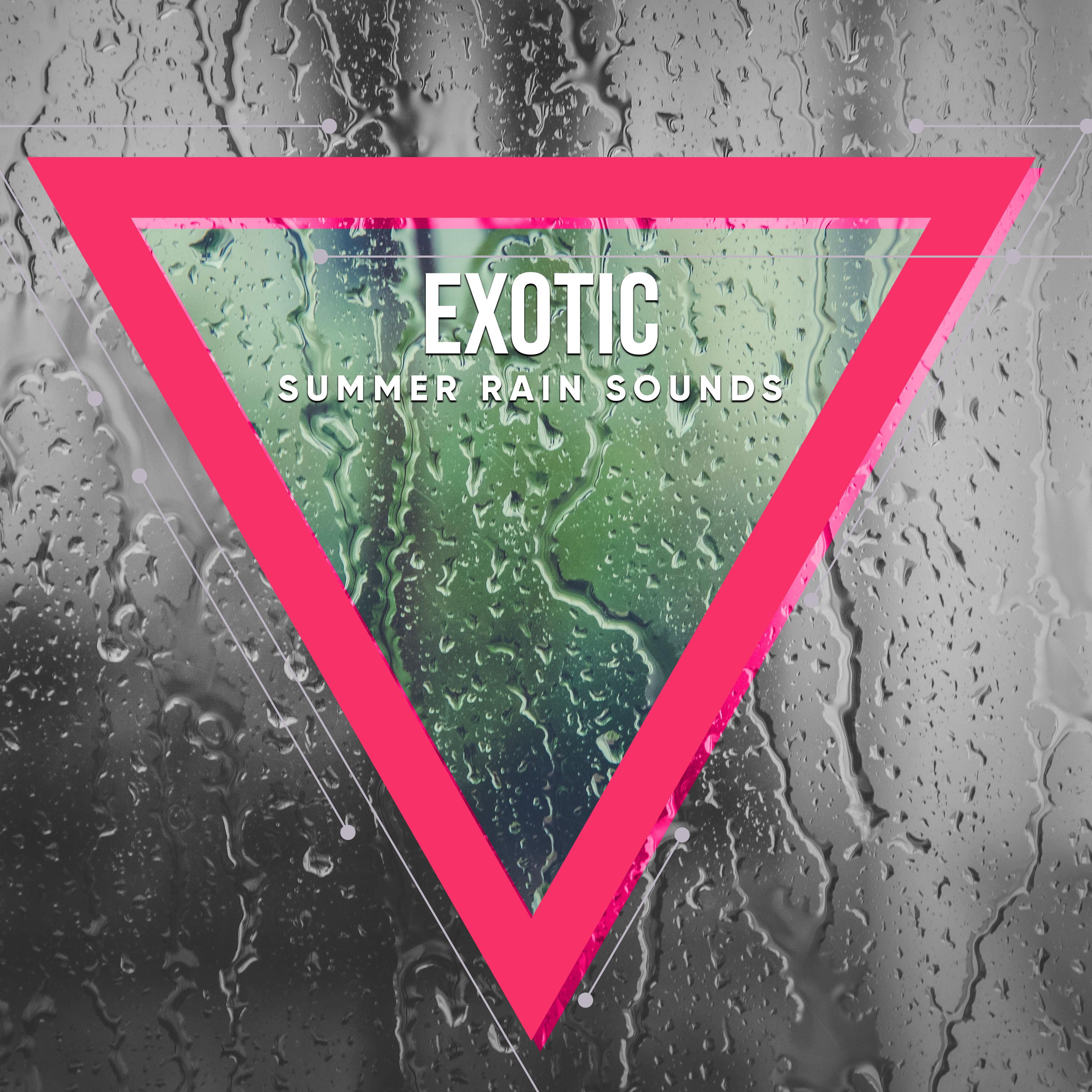 #20 Exotic Summer Rain Sounds from Nature