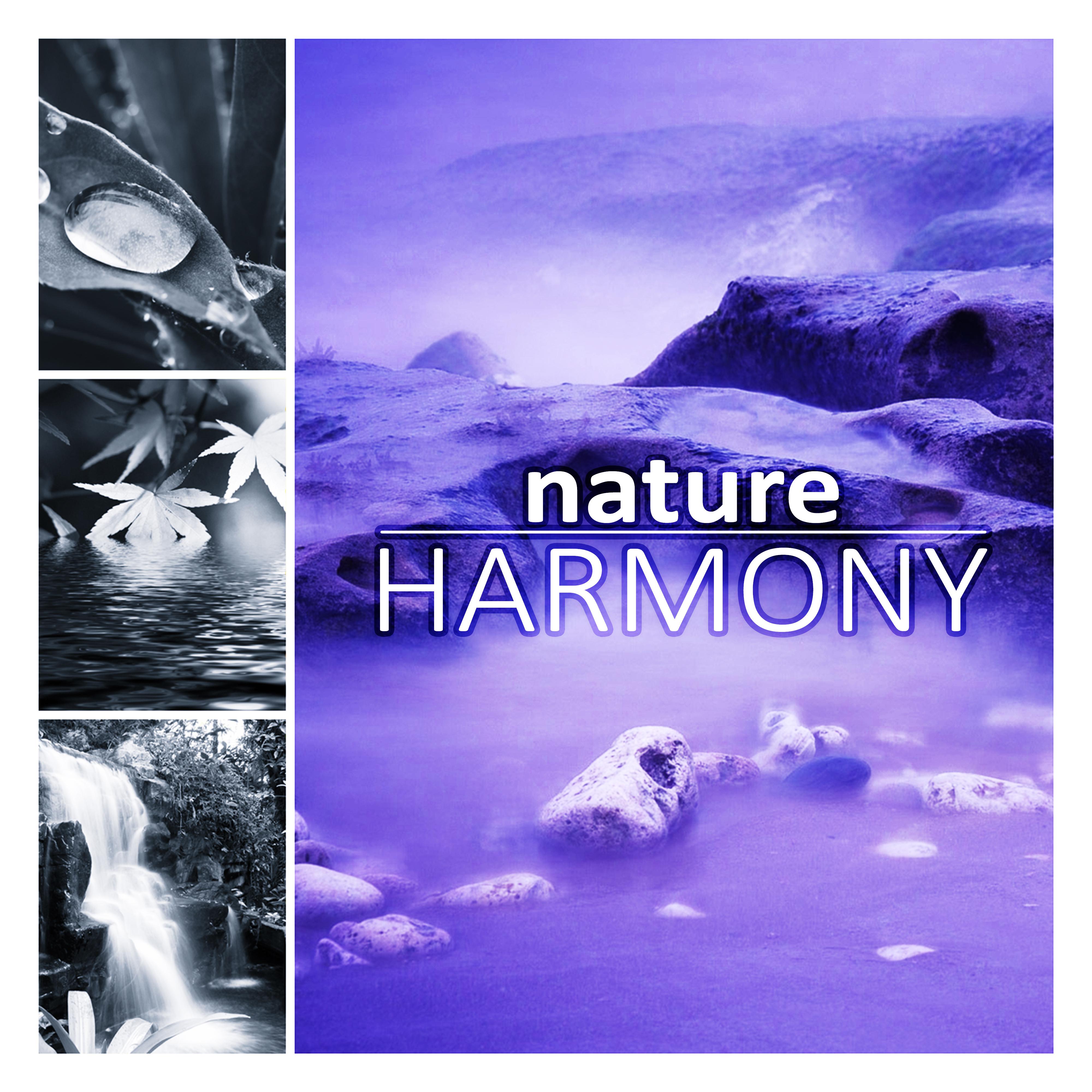 Nature Harmony - New Age Music for Training and Meditation, Background Music for Massage Therapy, Soothing Spa