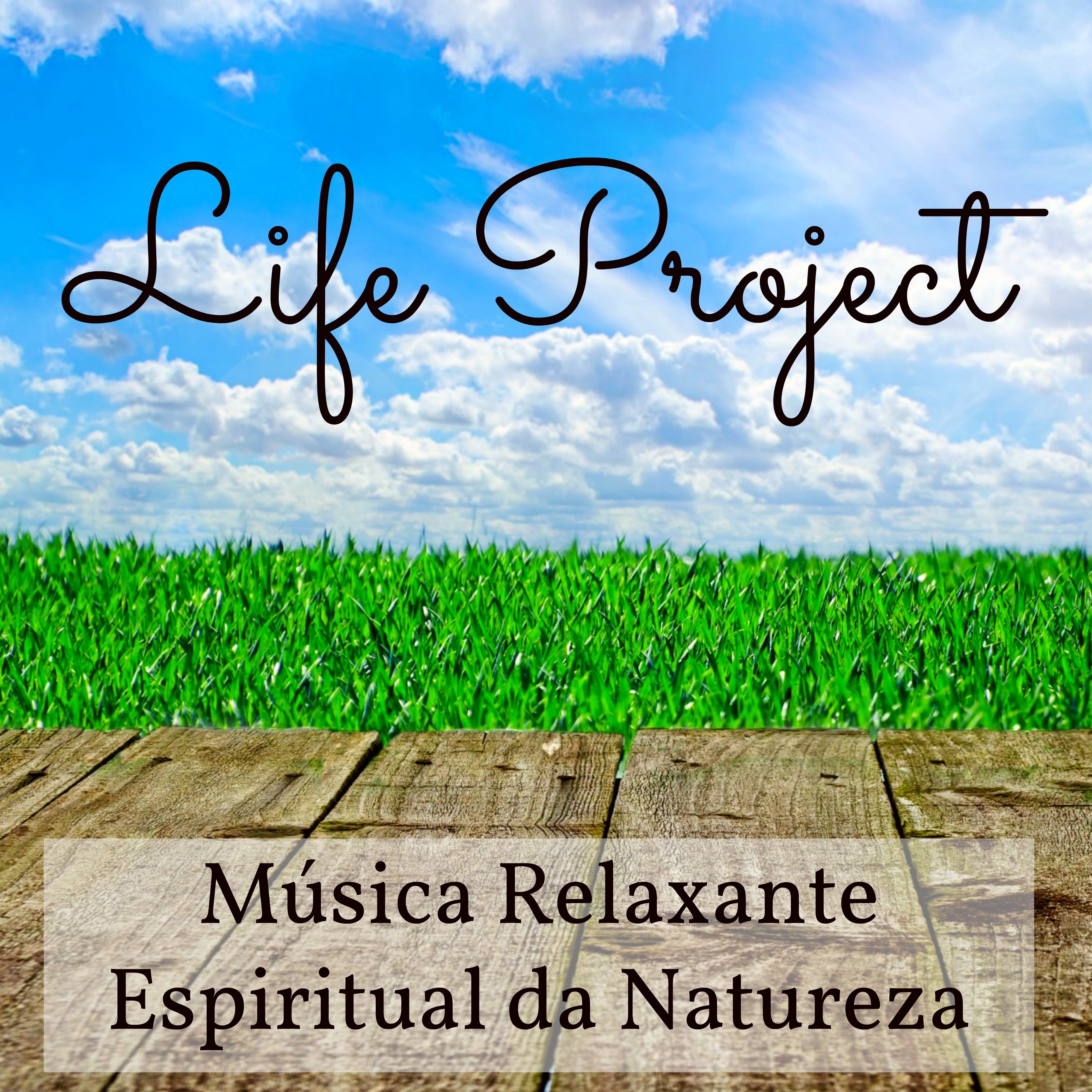 Life Project  Mu sica Relaxante Espiritual da Natureza con Sons Instrumental de Medita o Suaves New Age
