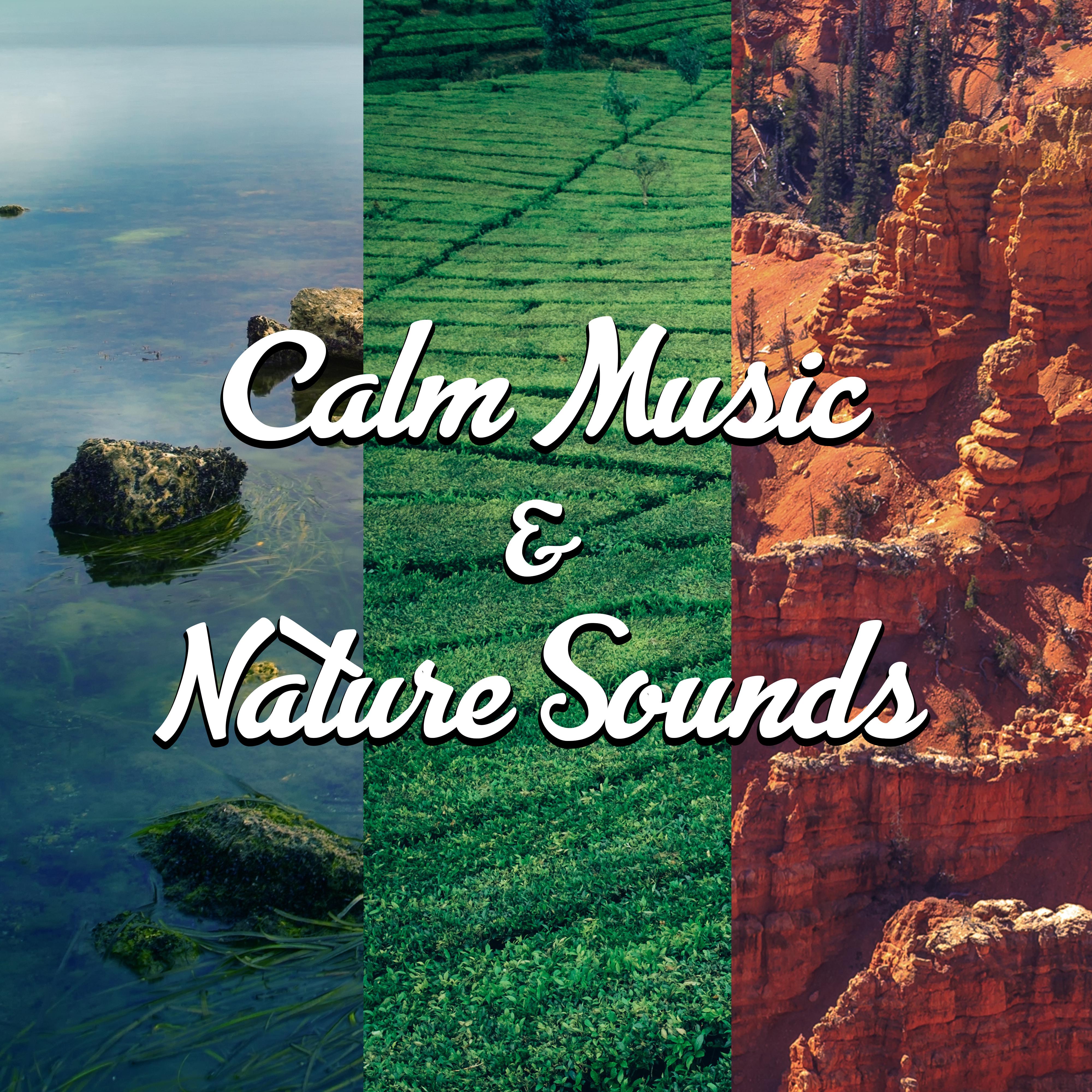 Calm Music  Nature Sounds  Relaxing Music, New Age Sounds, Time to Rest, Chilled Music