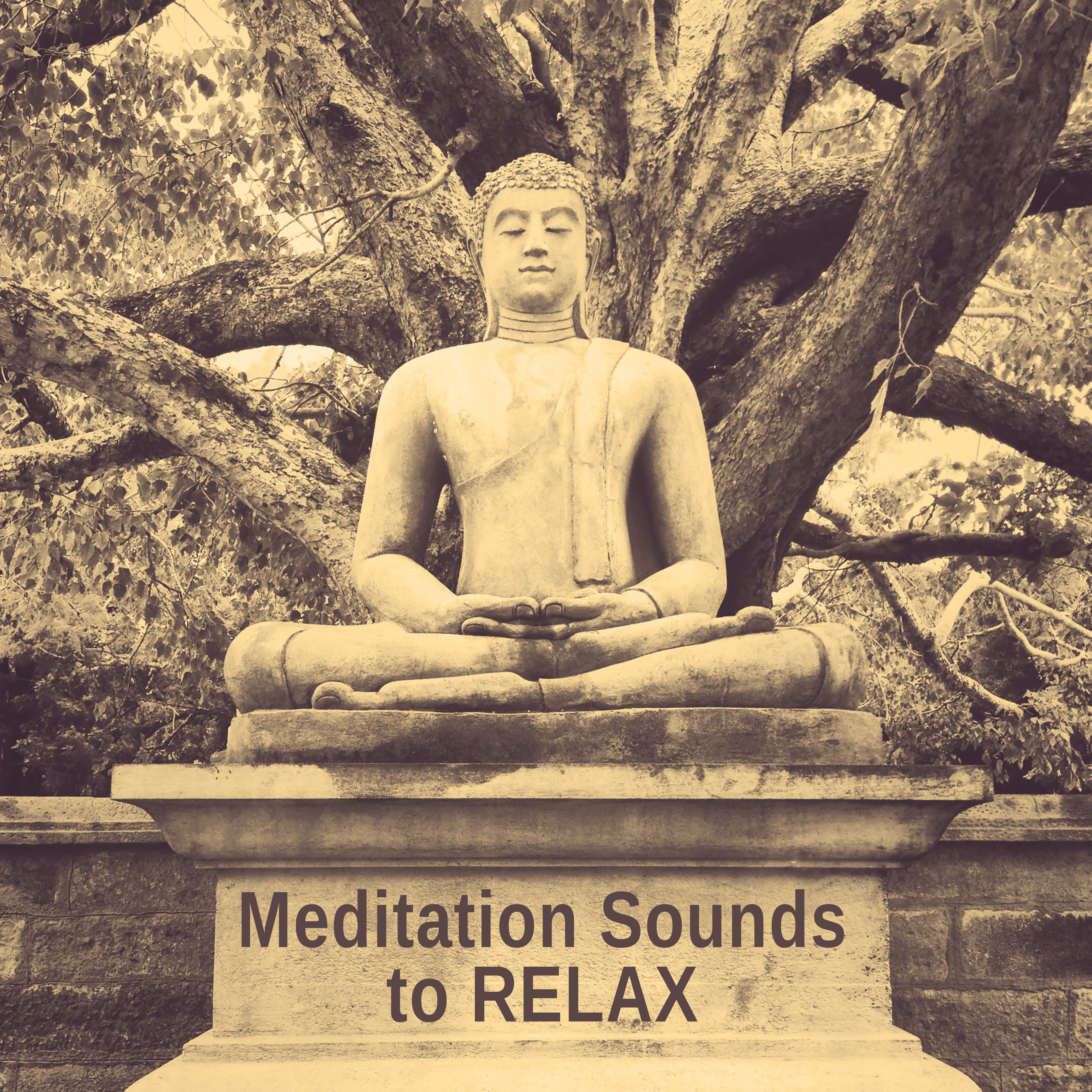 Meditation Sounds to Relax  Calm  Relax Music, Inner Calm, Spirit Relaxation, Peaceful Mind, Meditate in Peace