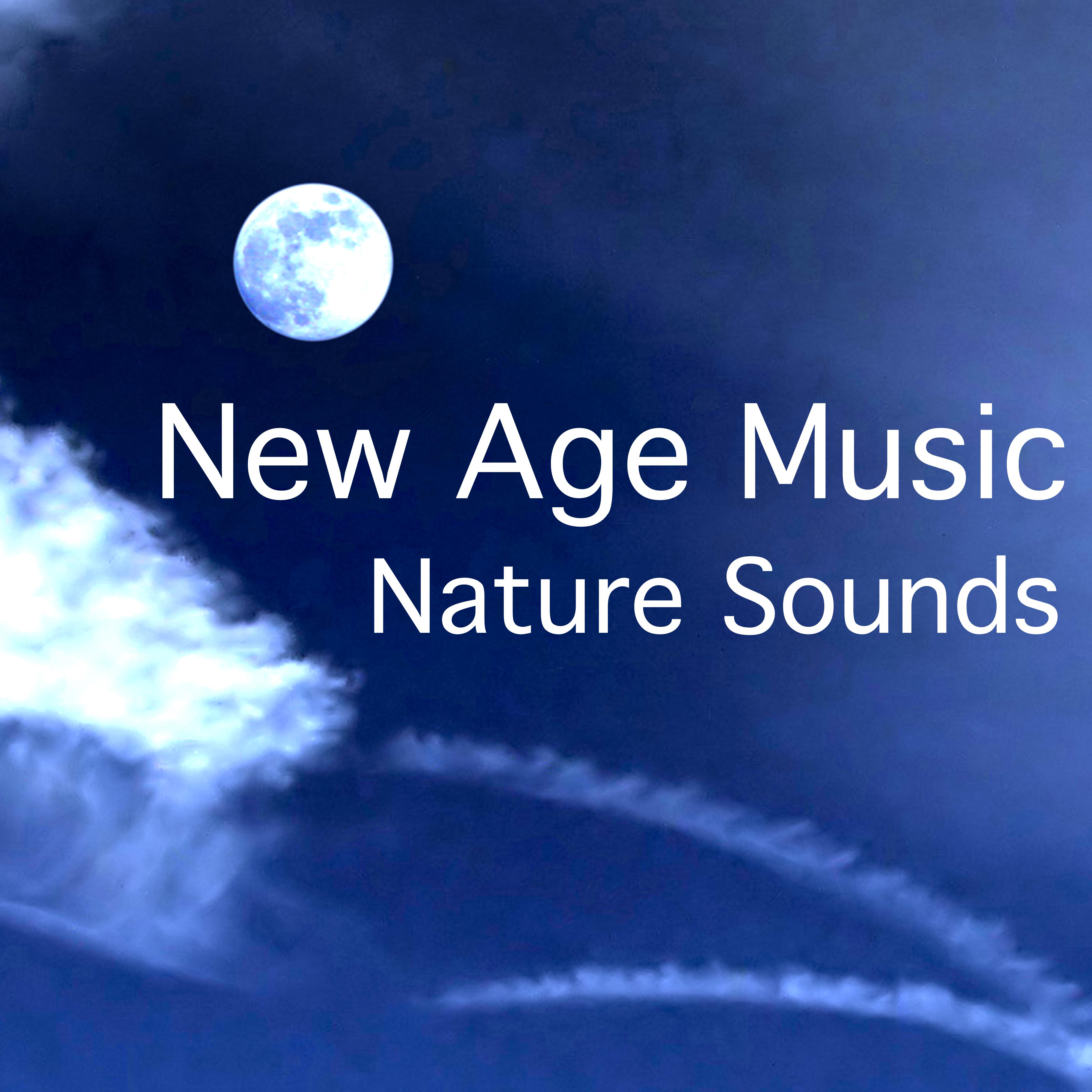 New Age Music - Nature Sounds: Music for Mindfulness Meditation, Good Sleep and Yoga Morning Sun Salutation