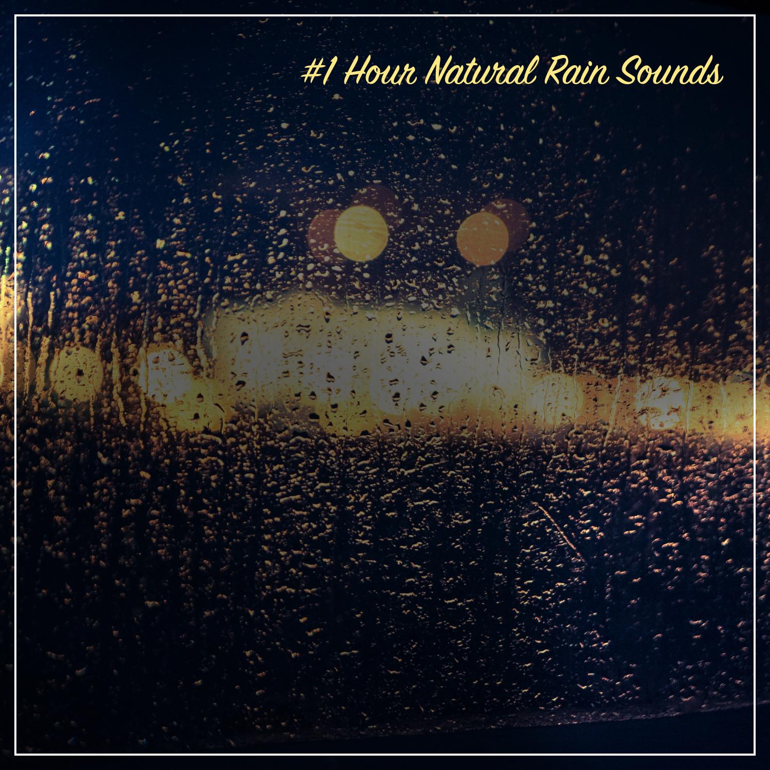 #1 Hour Natural Rain Sounds - Loopable for Sleep, Spa, Relaxation & Tinnitus