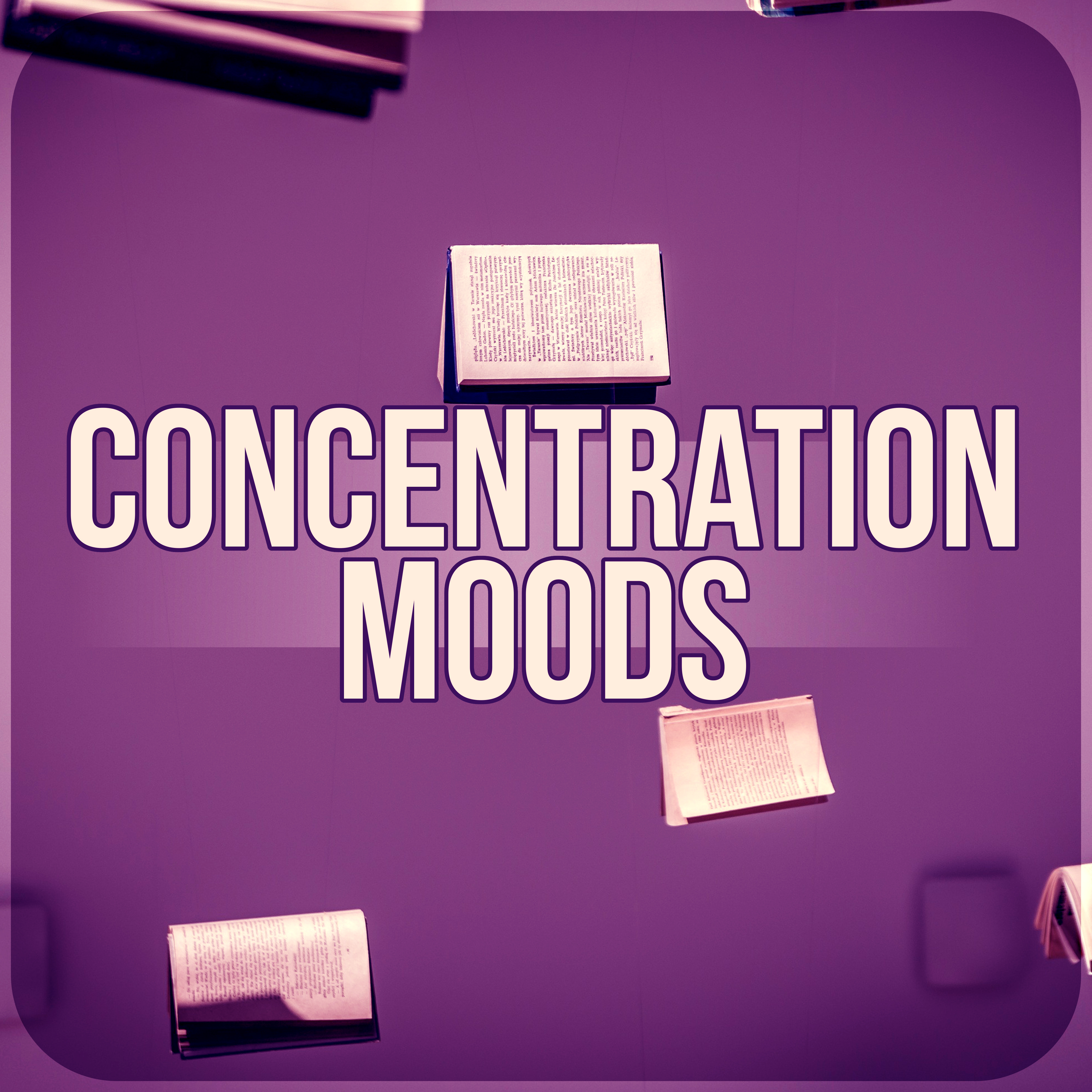 Concentration Moods - Meditation and Focus on Learning, Concentration Music and Study Music for Your Brain Power, Instrumental Relaxing Music for Reading, New Age