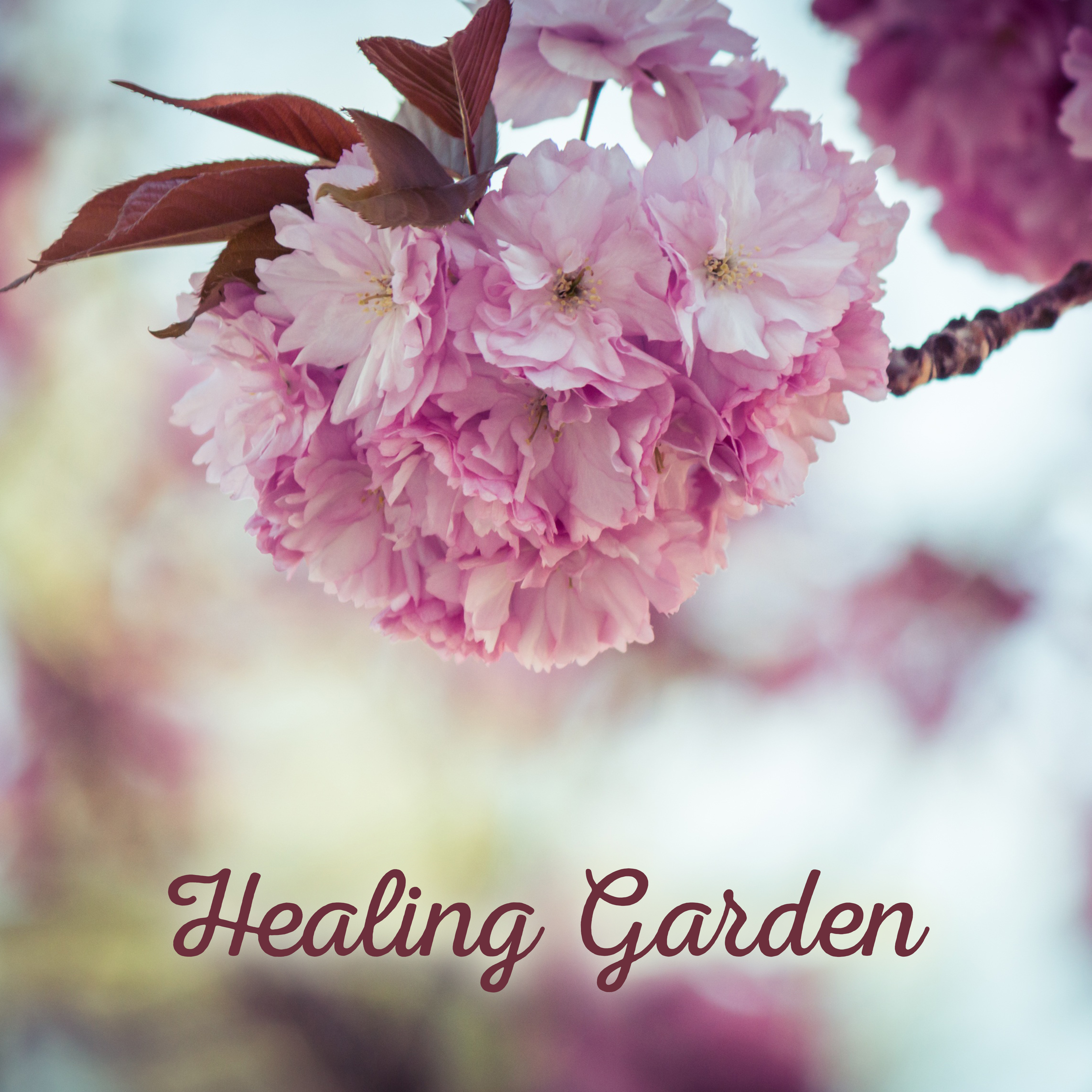 Healing Garden  Calming Relaxation Music for Massage, Rest, Peaceful New Age Sounds, Full of Nature, Falling Water, Birds Songs