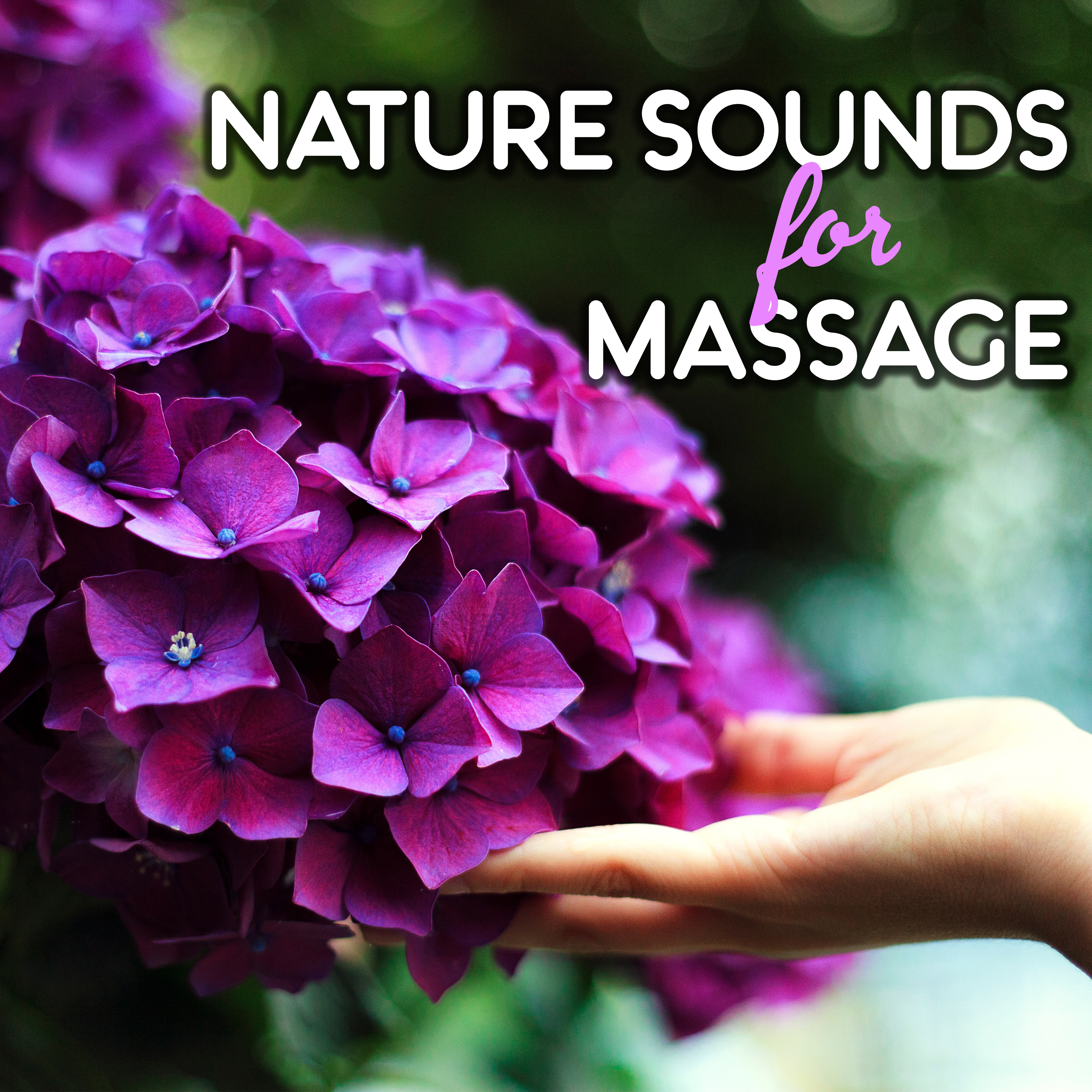 Nature Sounds for Massage  Soft Sounds for Spa, Relaxing Massage, Stress Free, Spirit Calmness