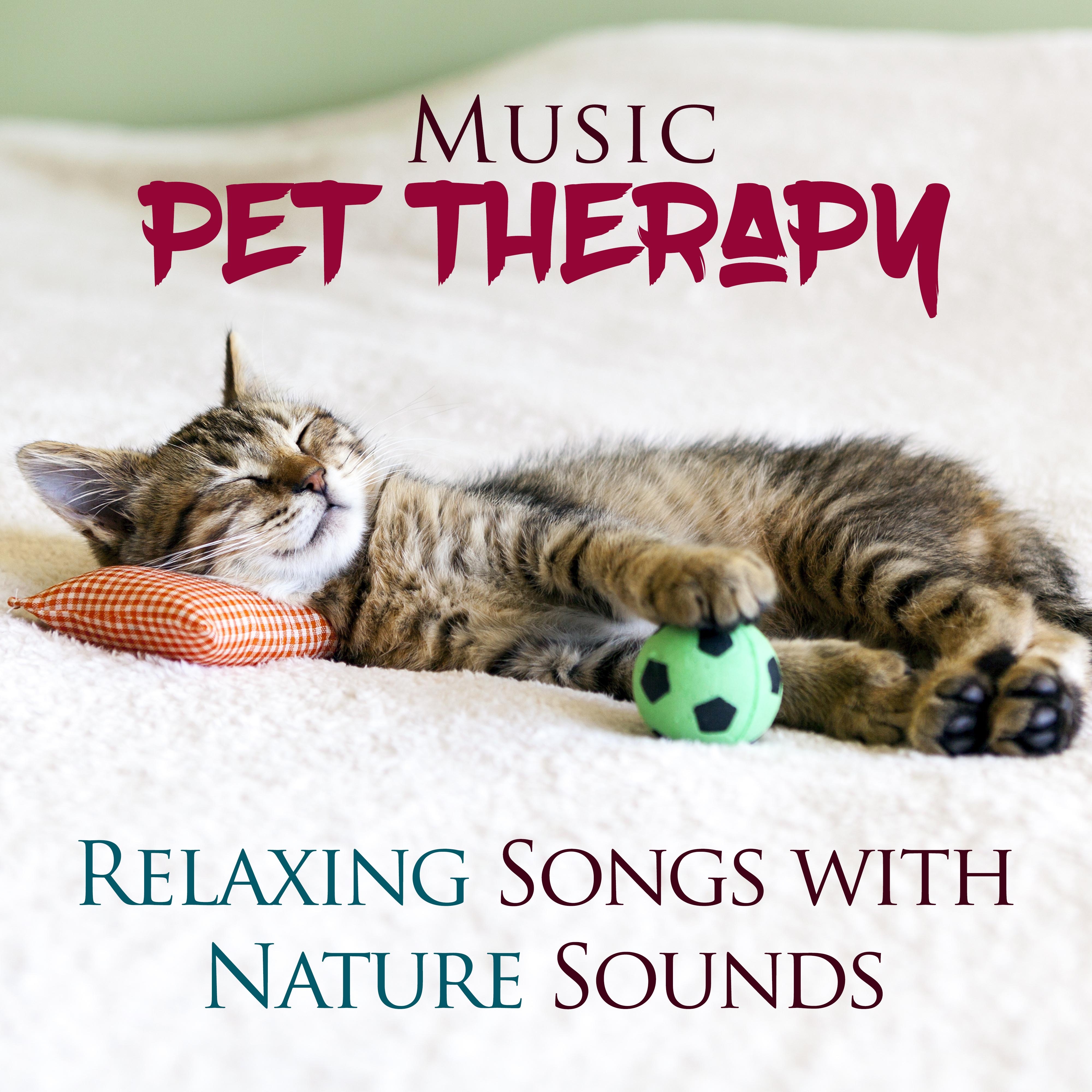 Pet Music Therapy - Relaxing Songs with Nature Sounds to Induce Sleep and Help Relax Dogs, Cats and Other Pets