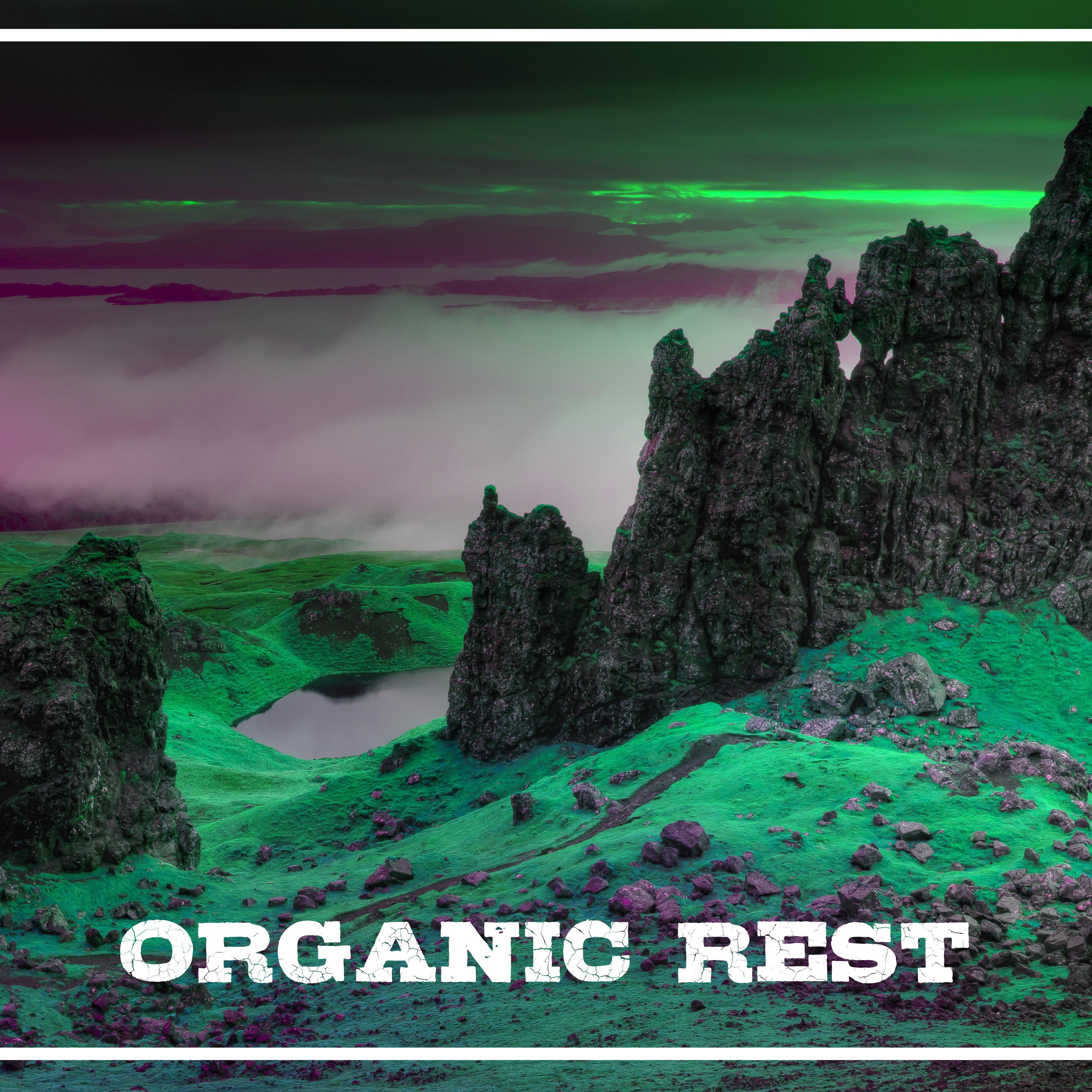 Organic Rest  Nature Sounds for Relaxation, Sea Waves, Spring Rain, Singing Birds, Restful Noise