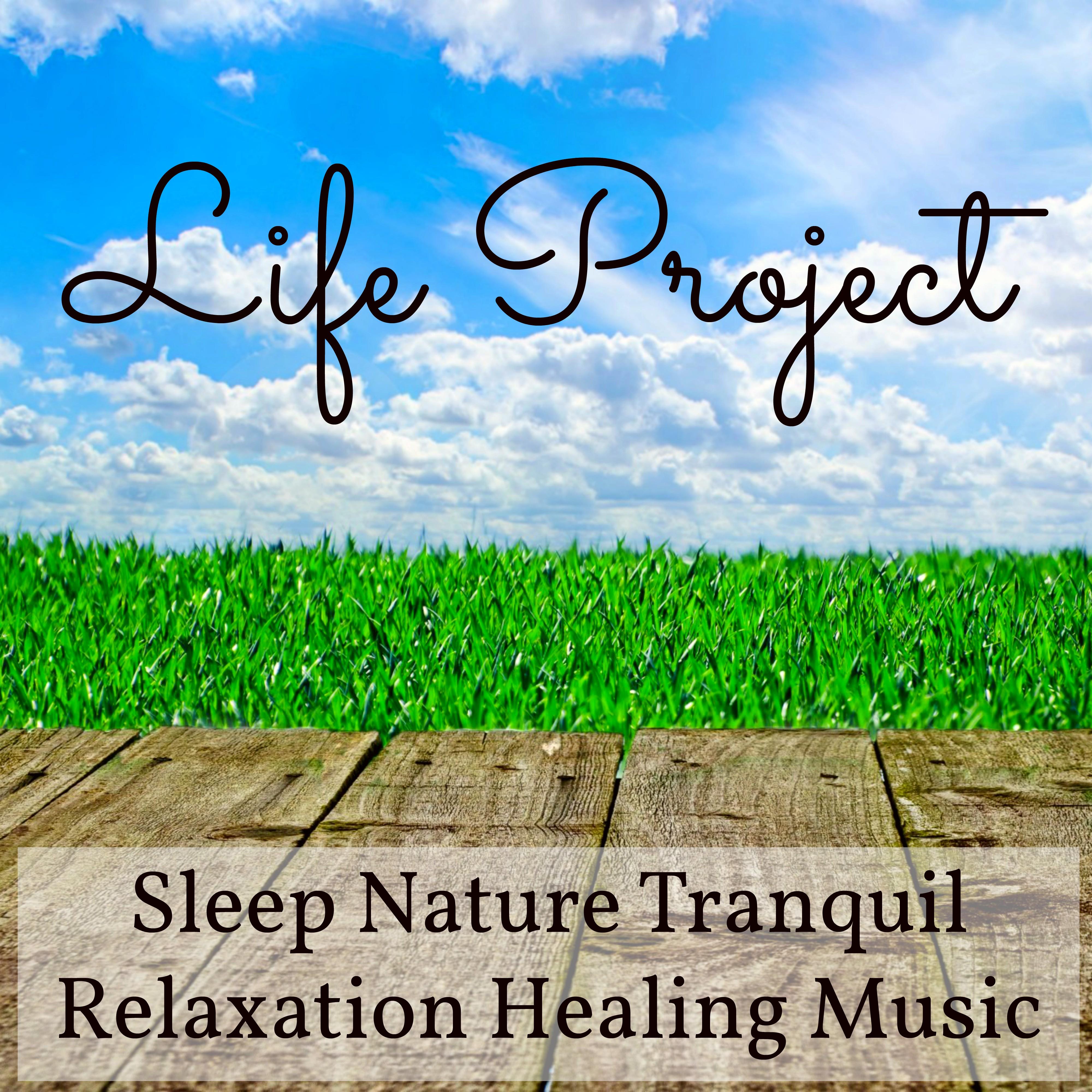Life Project - Sleep Nature Tranquil Relaxation Healing Music with Calming Instrumental Meditative New Age