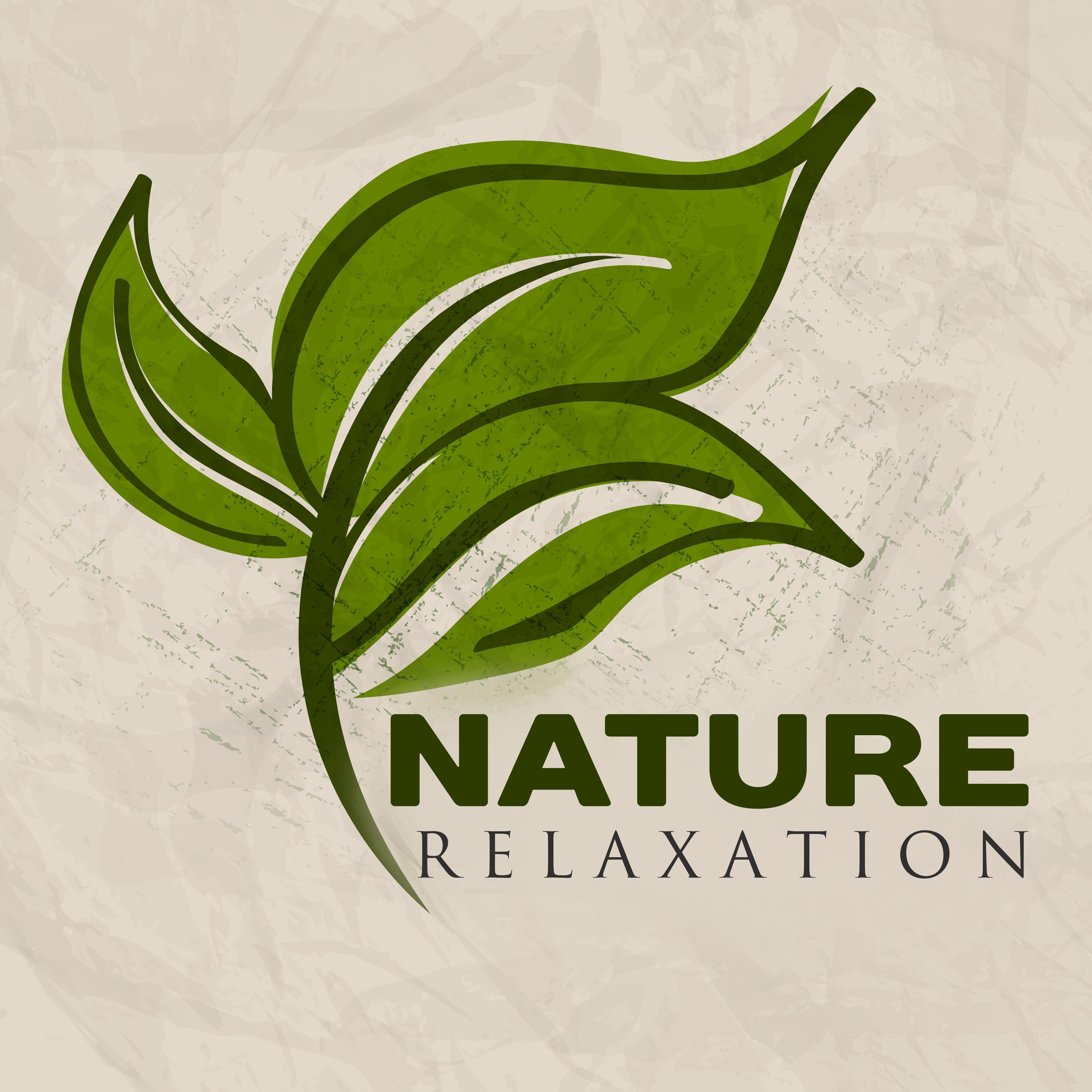 Nature Relaxation  Music to Calm Down, Soft Sounds of Nature, Walk in the Forest