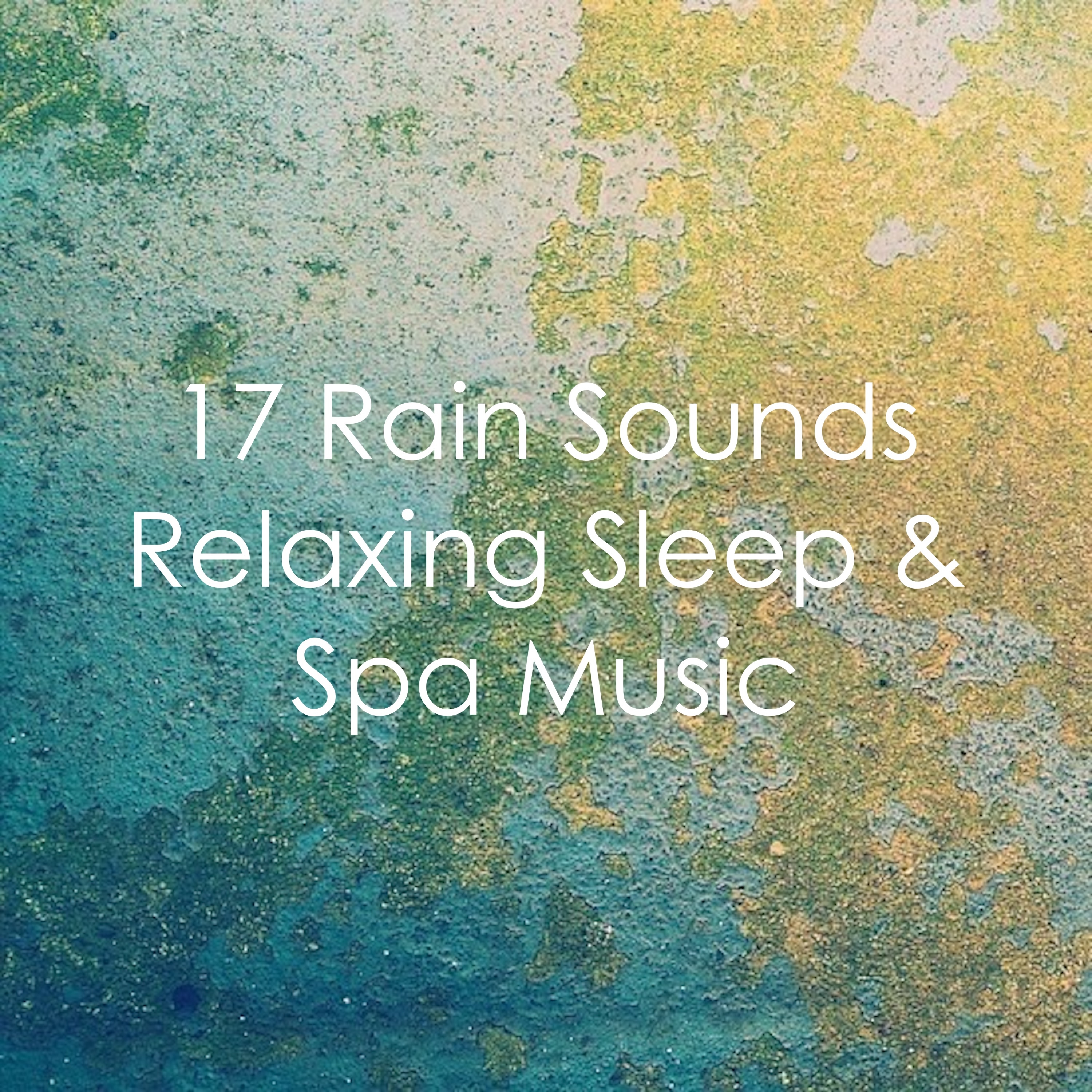#17 Rain Sounds: Serene & Relaxing, Sleep, Spa or Study Music