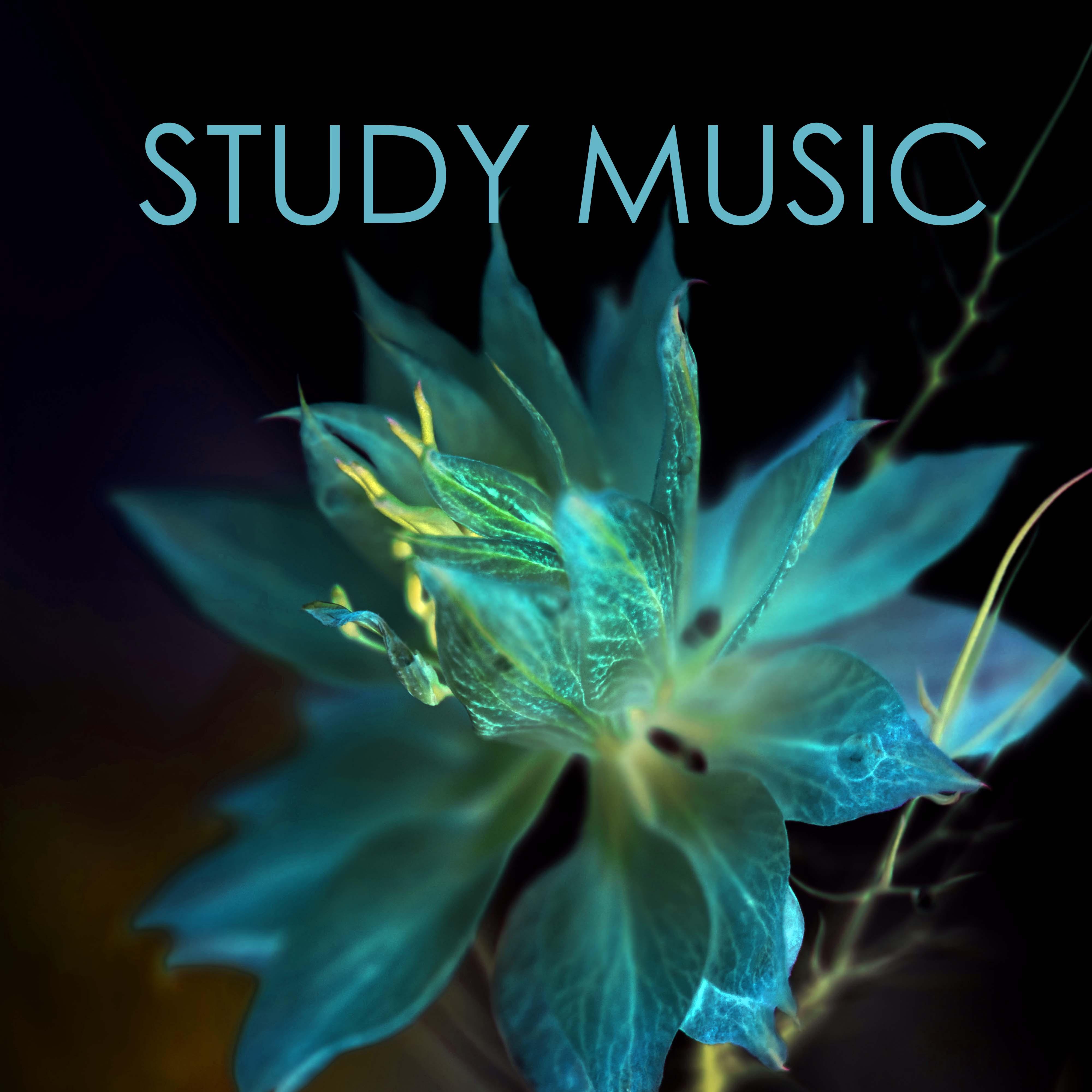 Relaxation Study Music - Reading Background