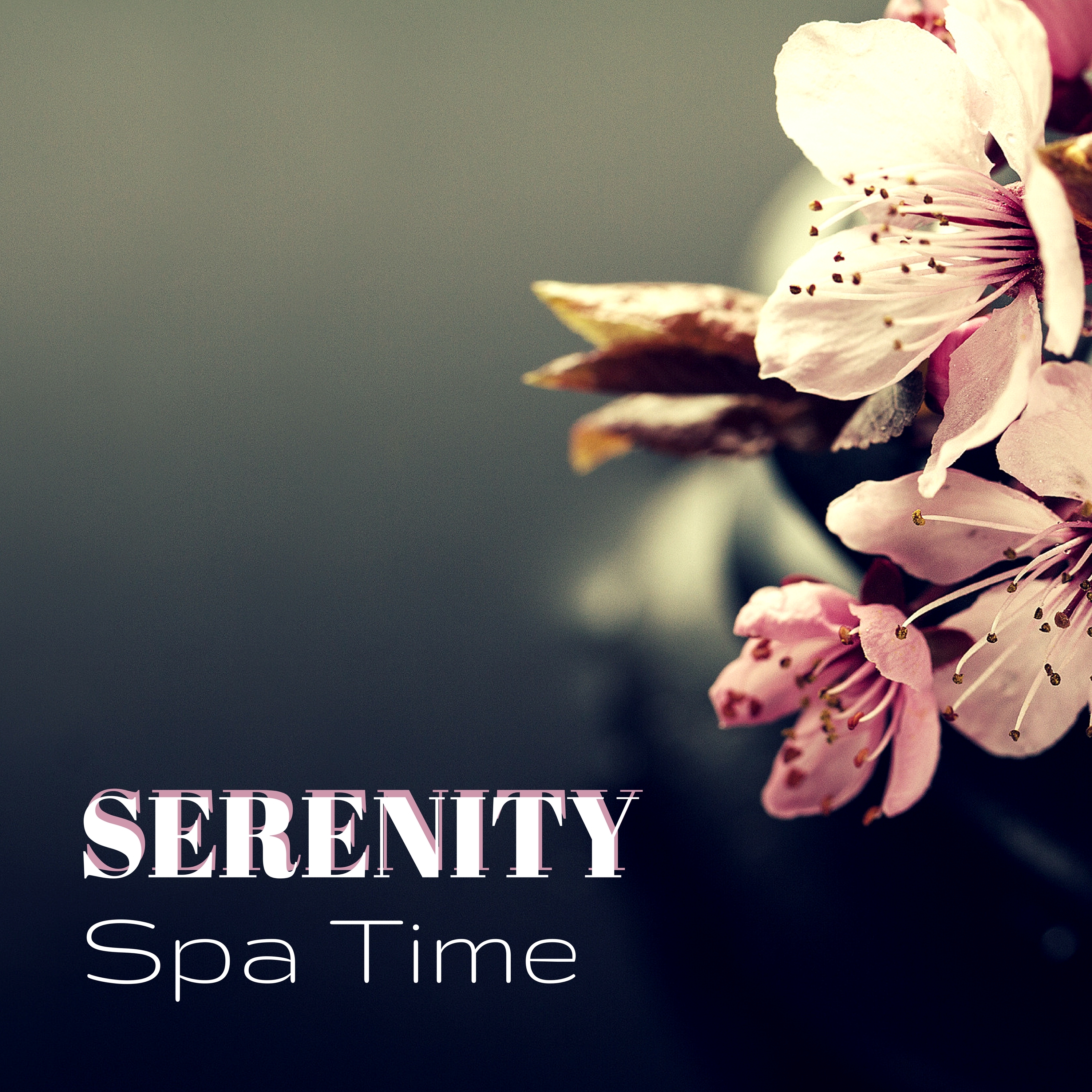 Serenity Spa Time - Wellness Ambient Meditating Music for Positive Energy