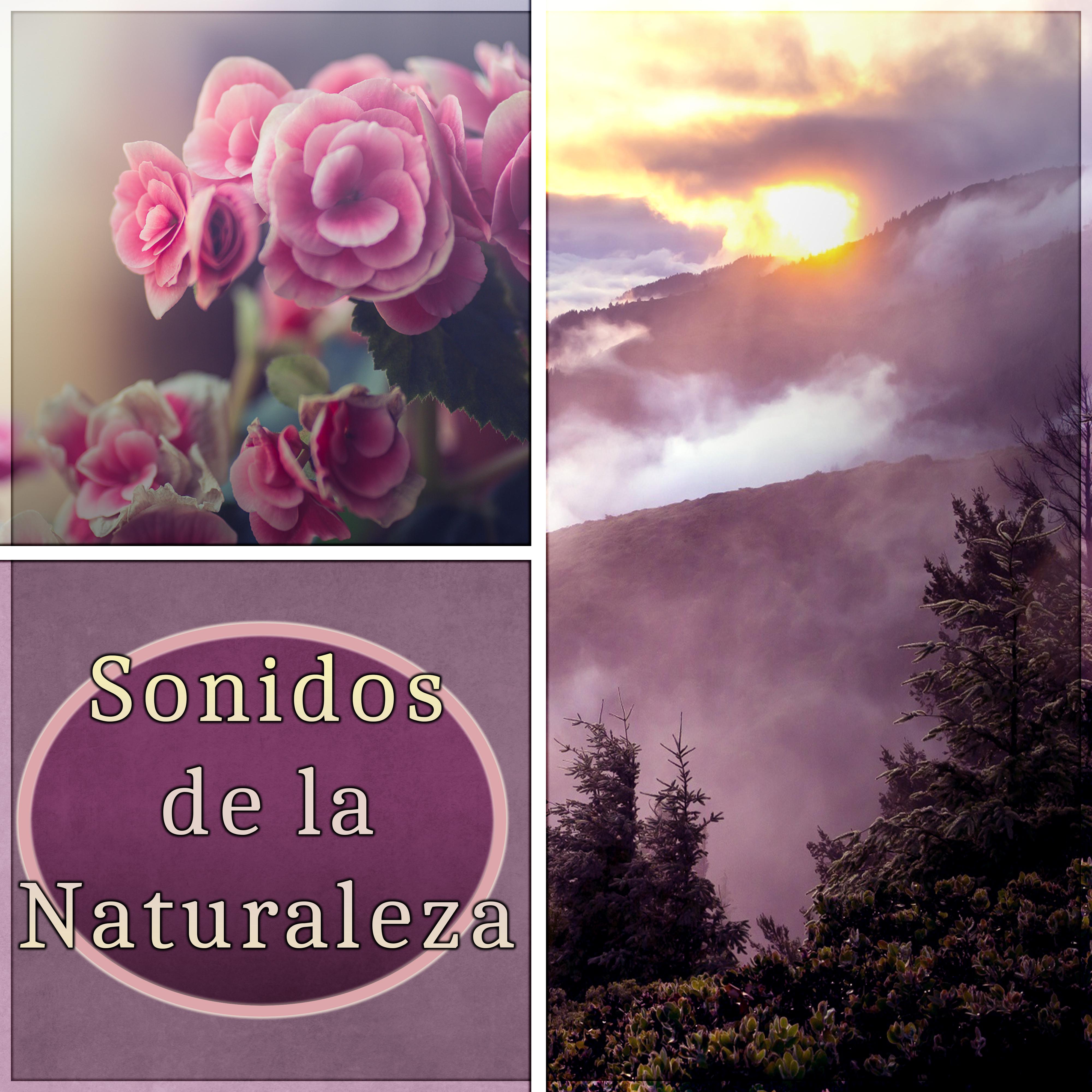 Sonidos de la Naturaleza  Musica de Meditacion, Wellness y SPA, Relaje Su Cuerpo y Su Alma Usando Aromaterapia, Enciende una Vela, Yoga, Reiki