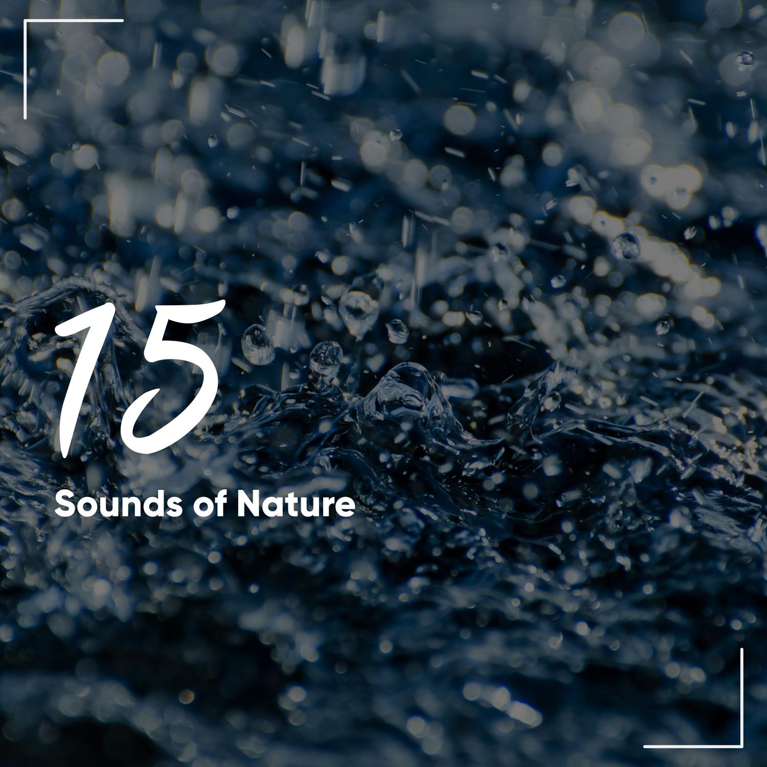 15 Sounds of Nature to Help You Sleep