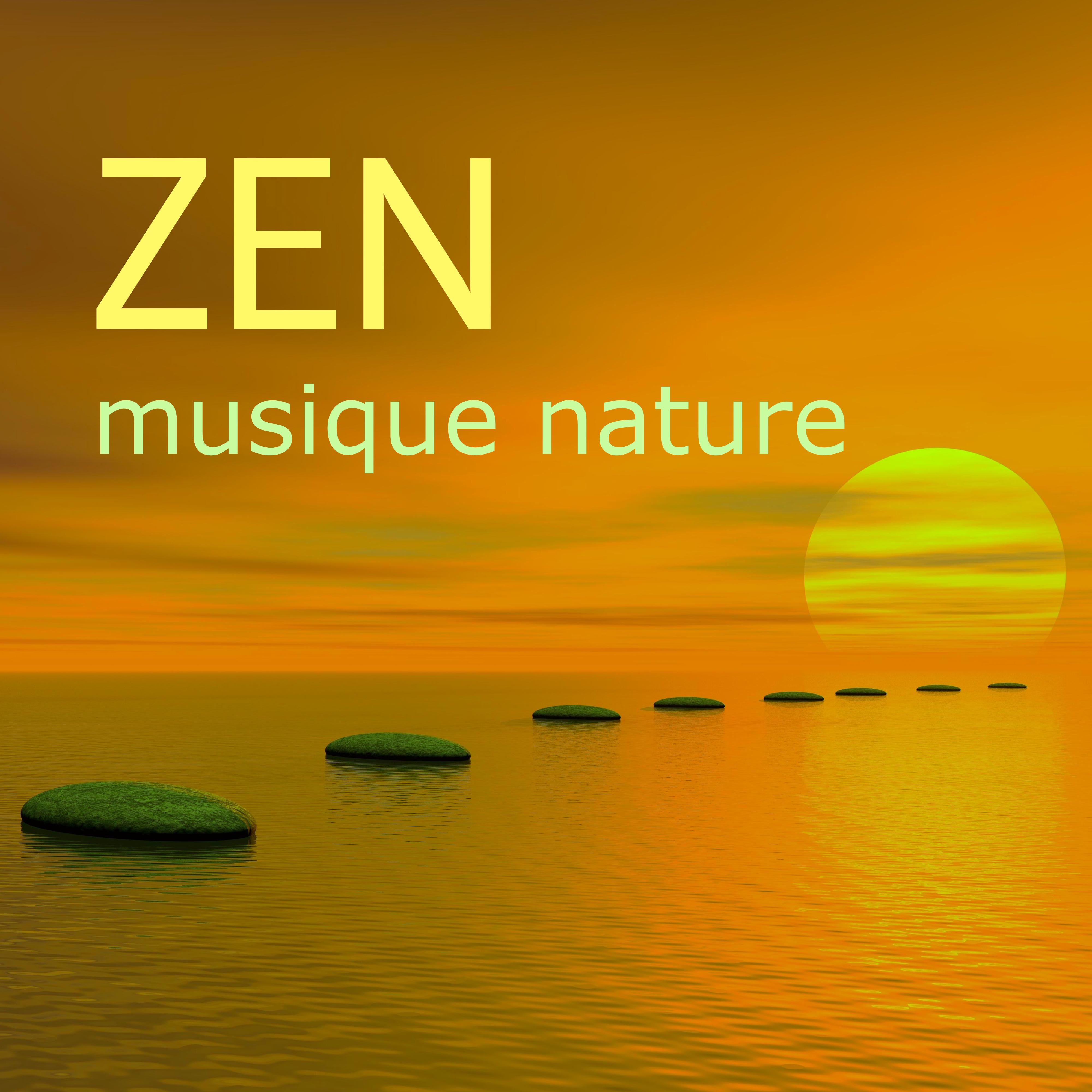 Zen  Musique Nature: Me ditation et Techniques de Respiration pour Combattre le Stress et Gue rir l' Anxie te