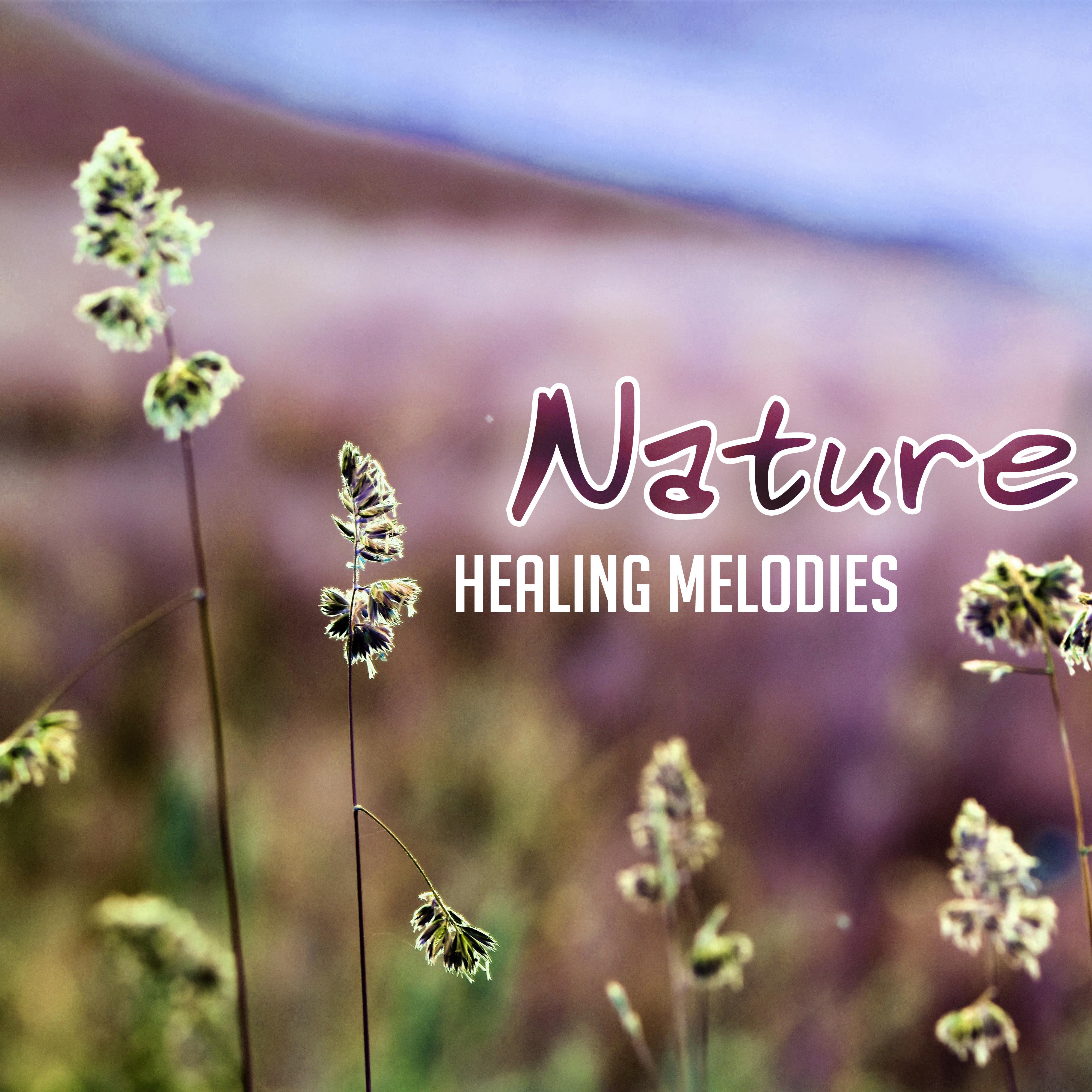 Nature Healing Melodies  Soft New Age Music, Healing Sounds for Mind  Body, Chill a Bit