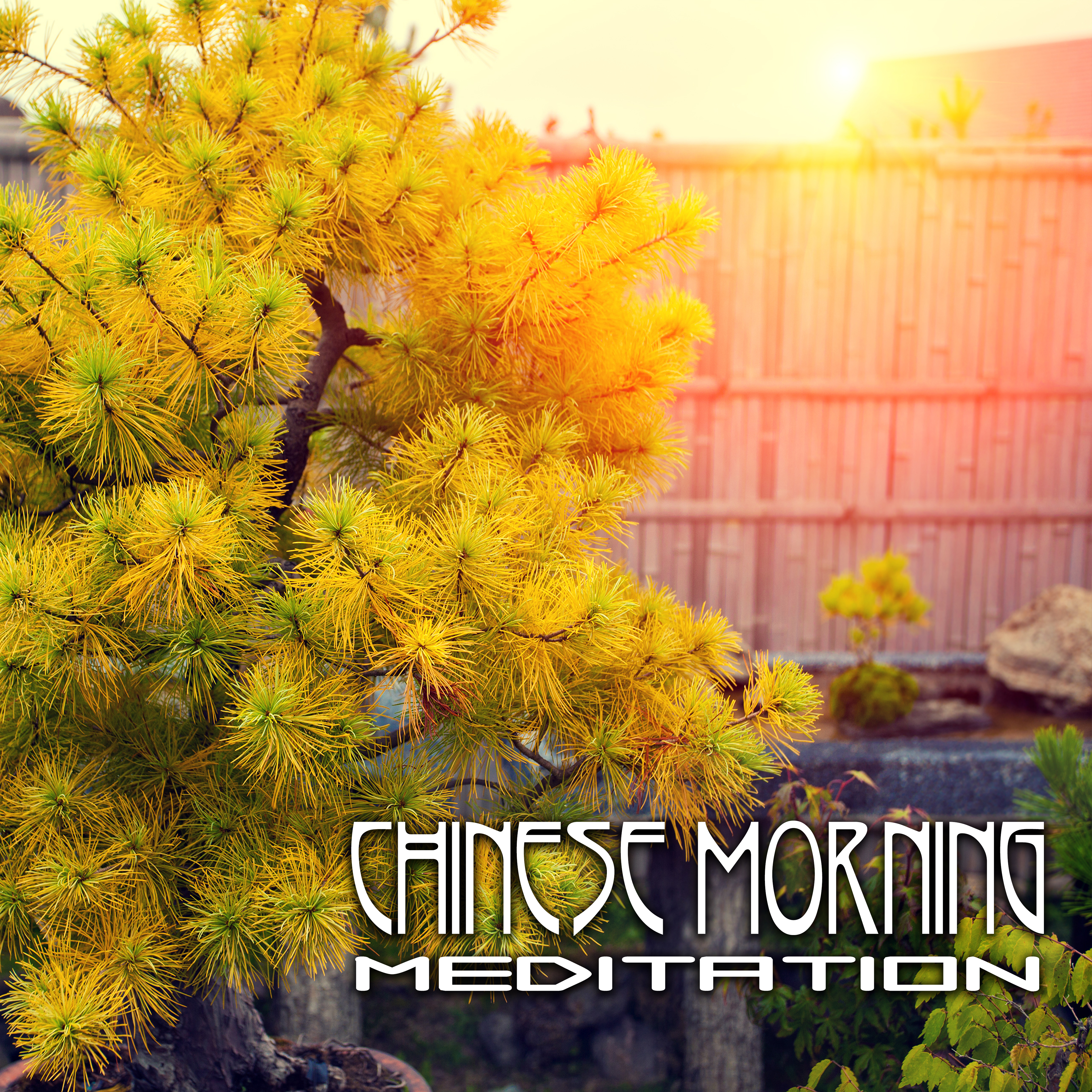 Chinese Morning Meditation  Asian Mantra Meditation, Buddhist Yoga Music