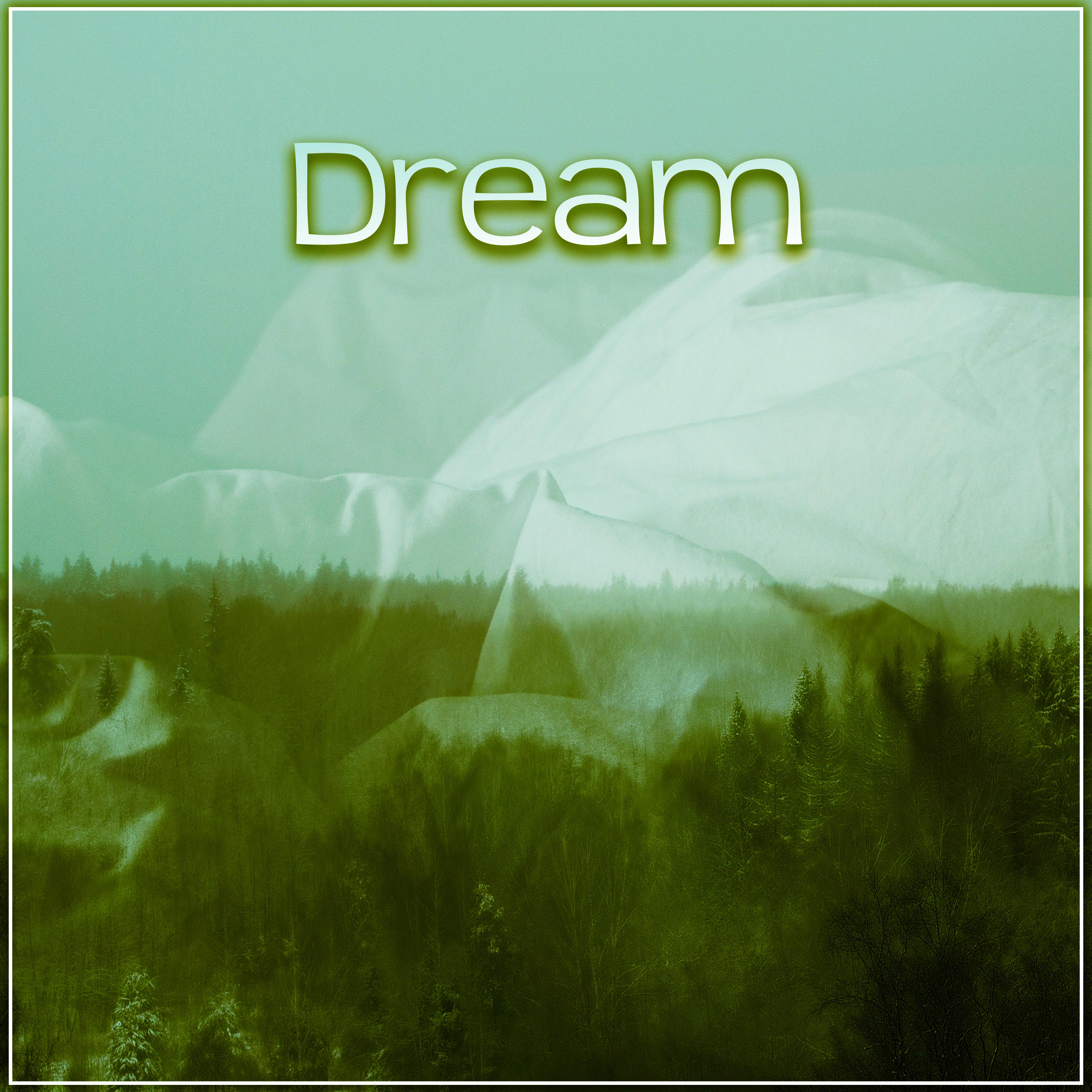 Dream  Deep Calm, Harmony Sleep, Pure Deep Sleep, Healing Therapy Music for Sleep