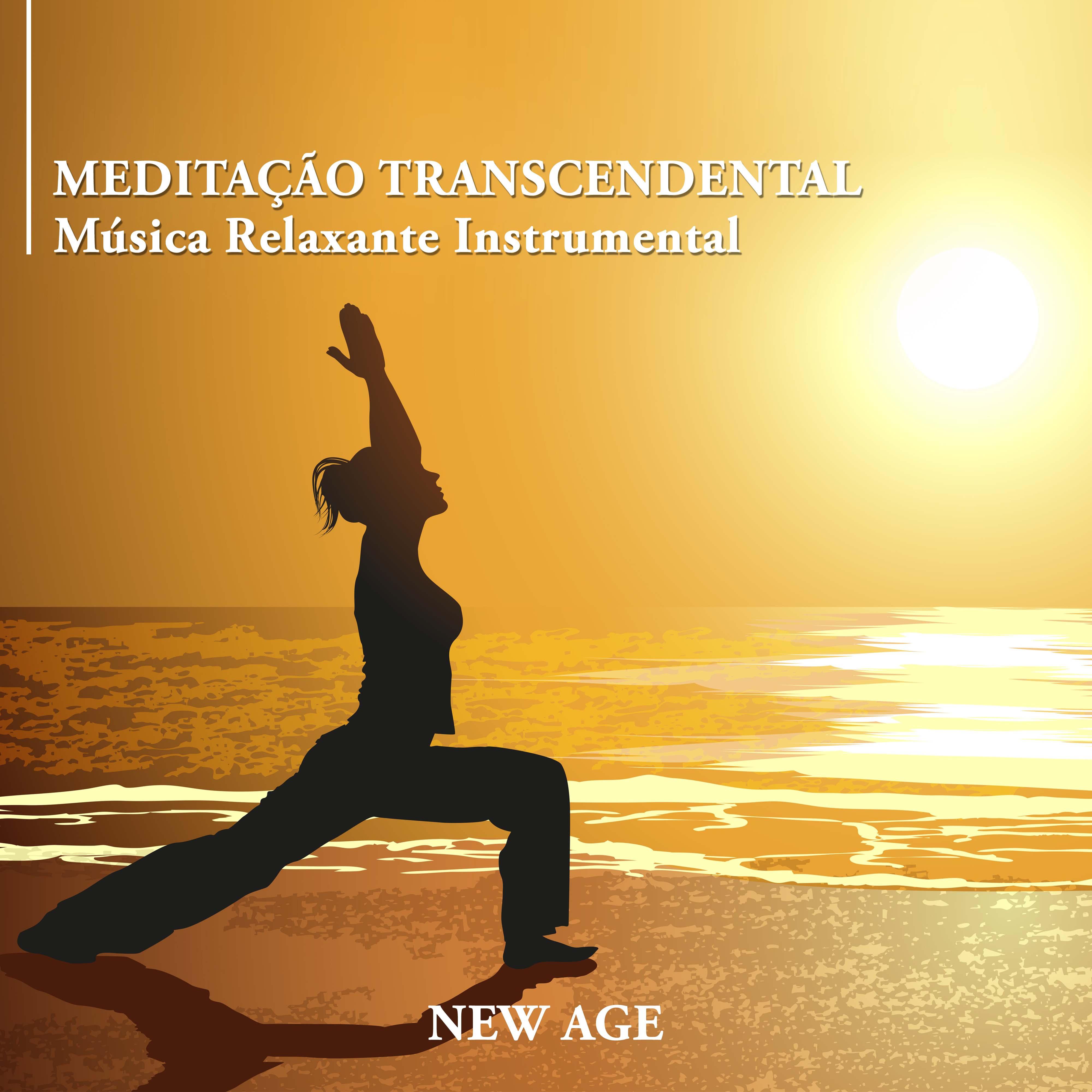 Medita o Transcendental  Relaxamento para Meditar com Mu sica Relaxante Instrumental